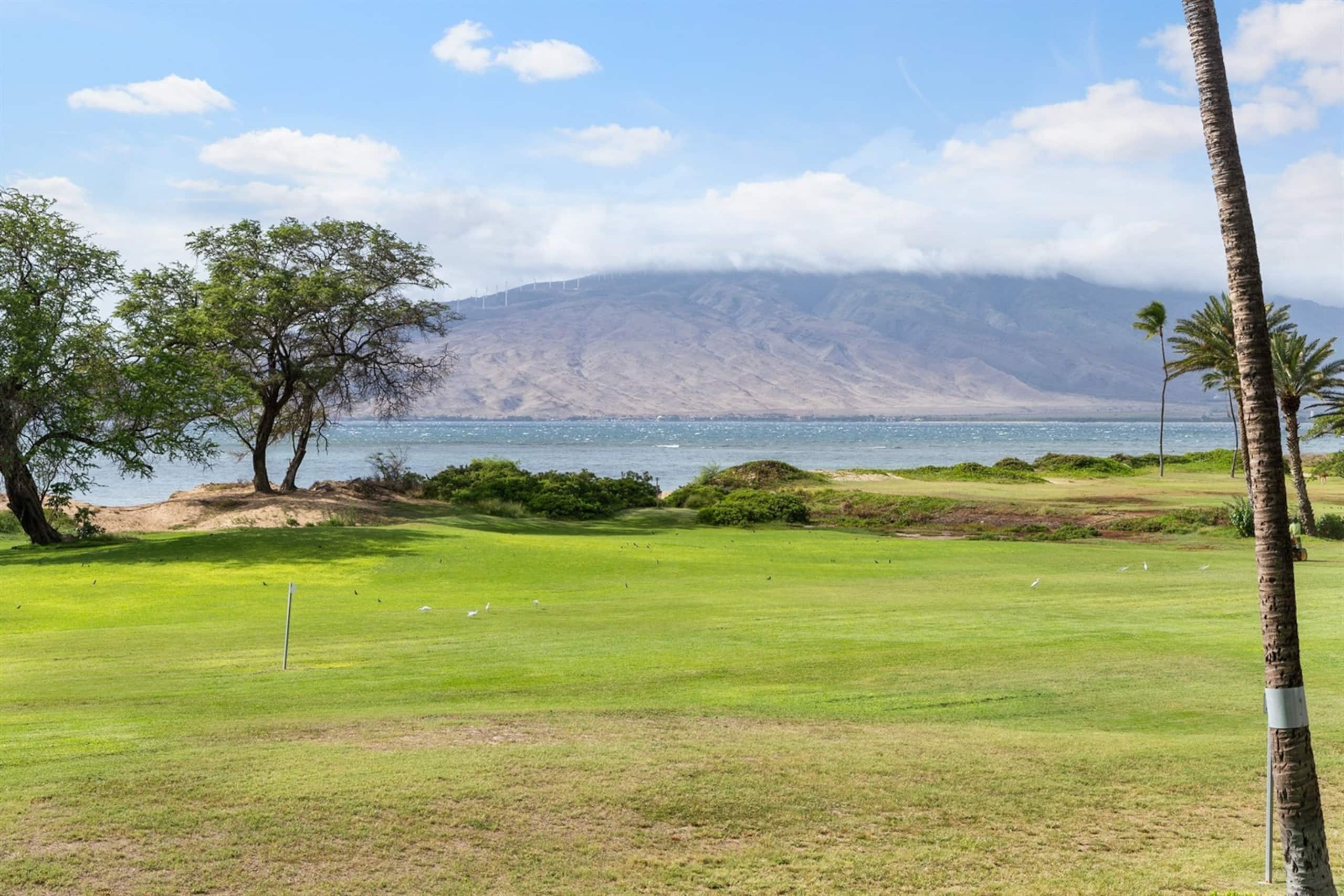 Condo in Kihei · ★4.9 · 1 bedroom · 2 beds · 1 private bath - Image 31