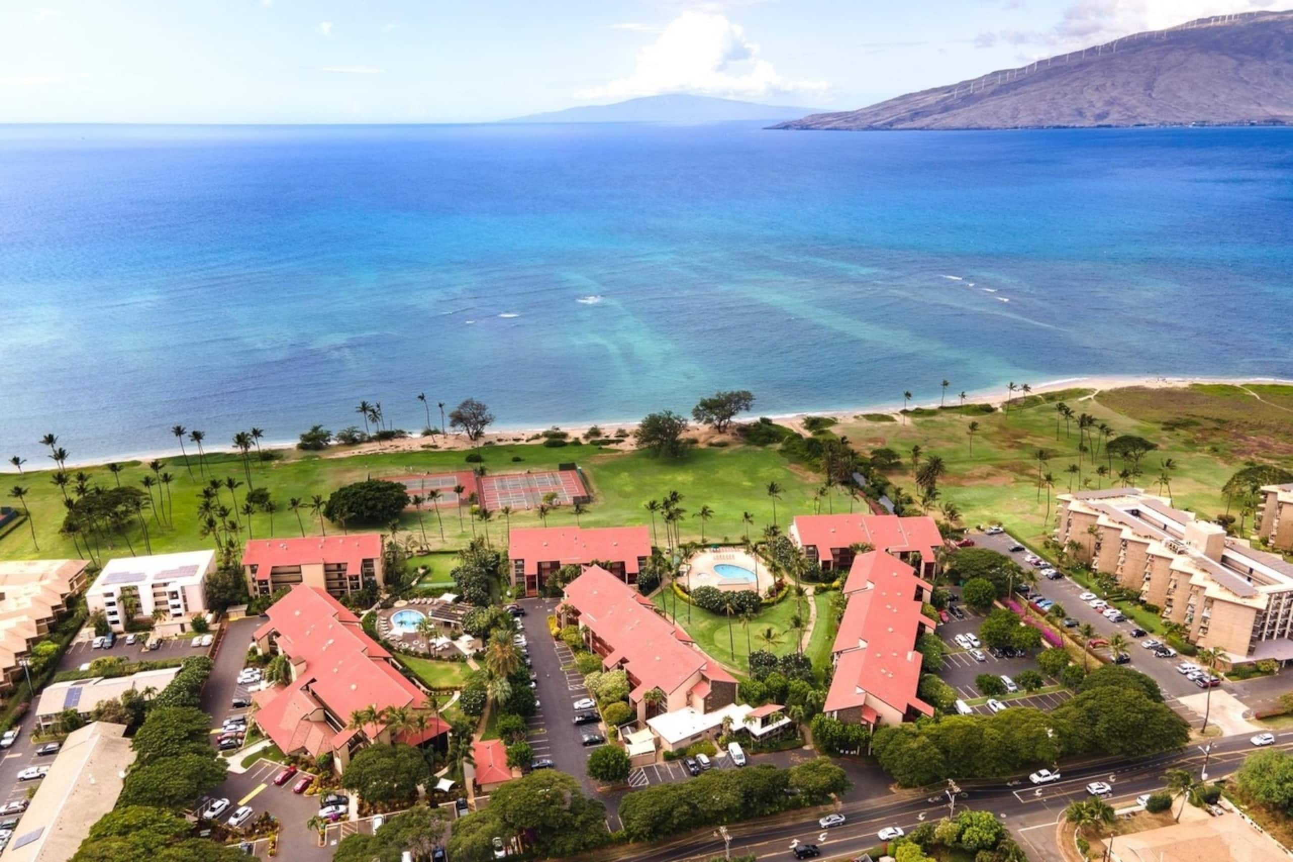 Condo in Kihei · ★4.9 · 1 bedroom · 2 beds · 1 private bath - Image 32