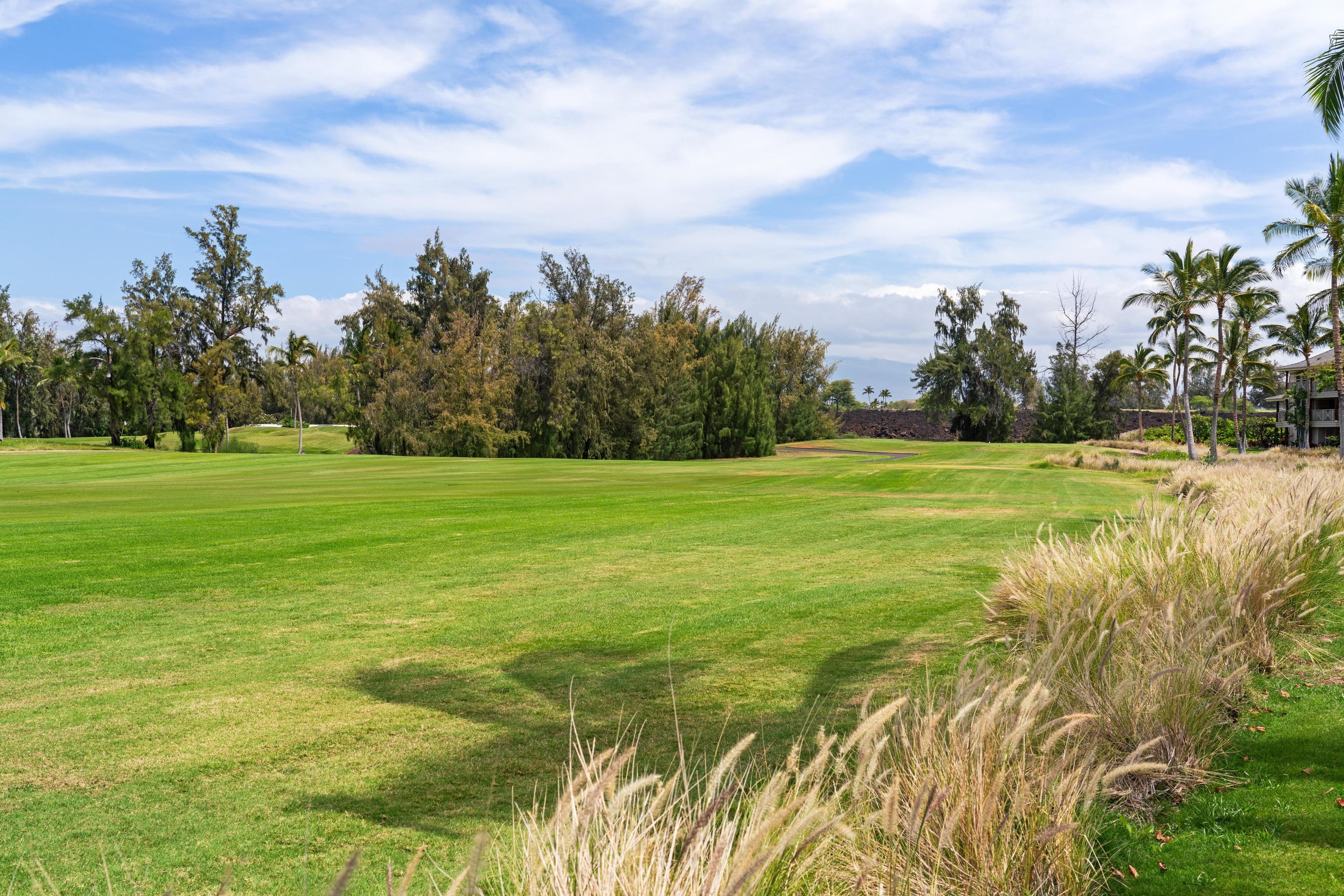 Hilton Pool Pass thru 2026. Golf Discounts. L2 - Photo 53