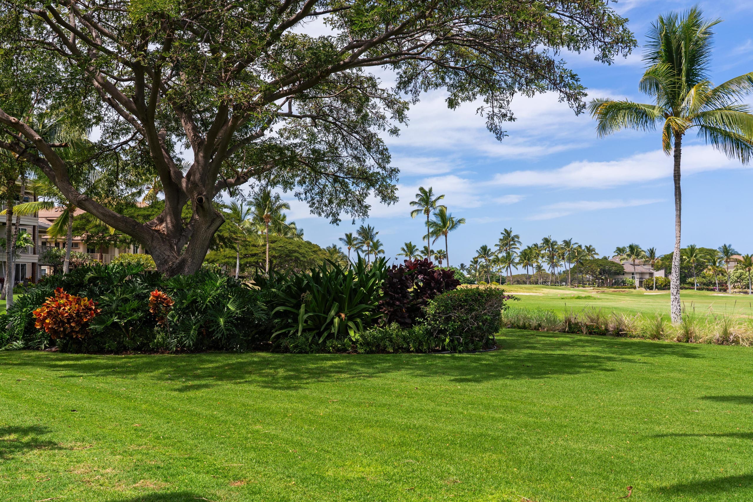 Hilton Pool Pass thru 2026. Golf Discounts. L2 - Photo 52