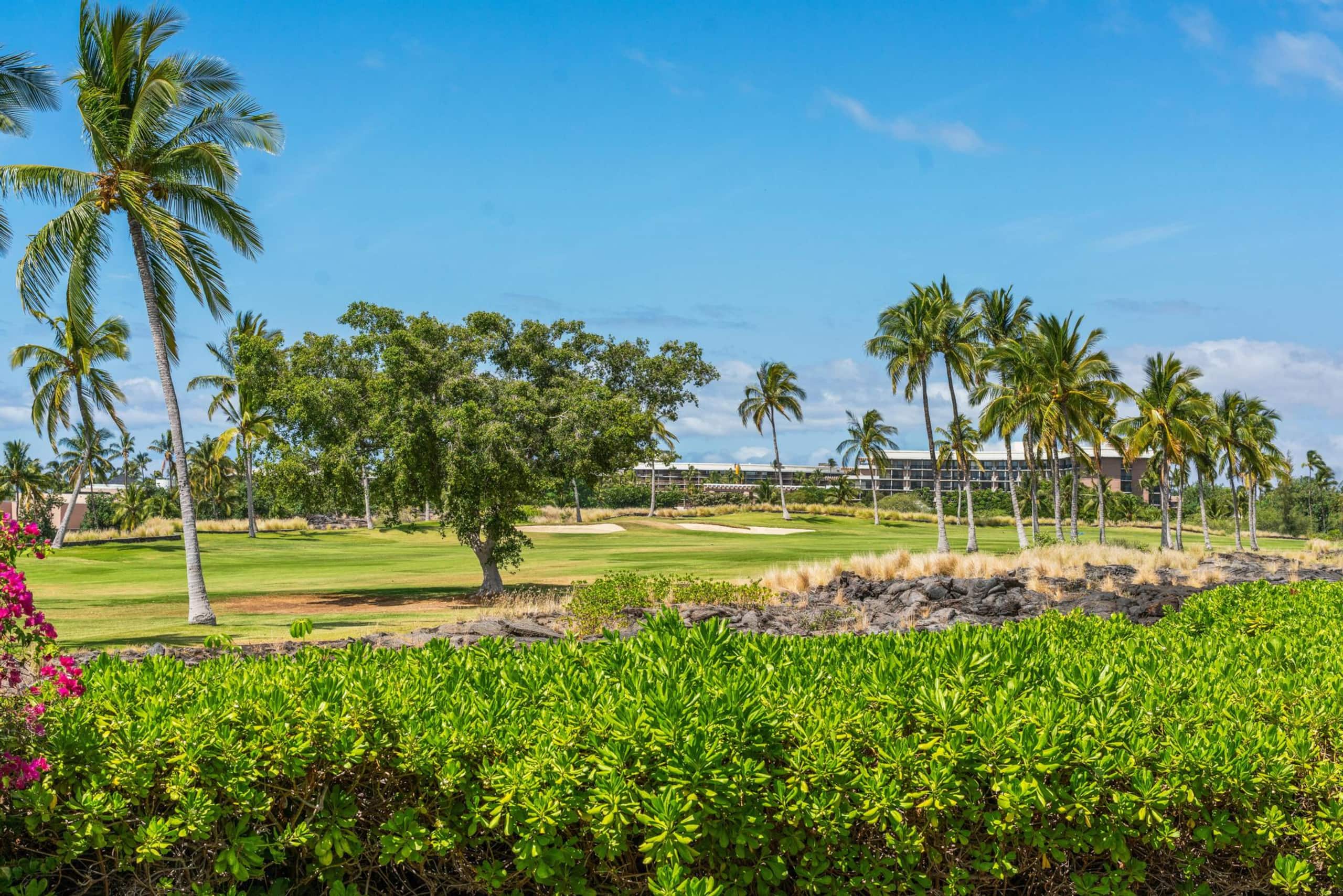 Includes Beach gear 2 Shores at Waikoloa Villa - Photo 59