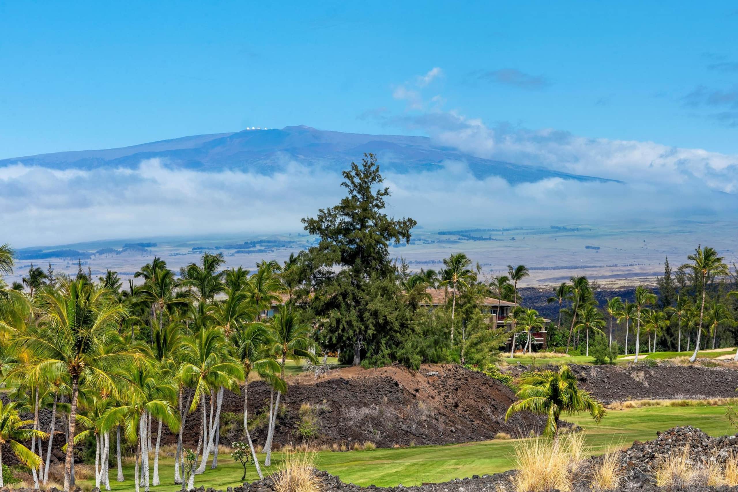Includes Beach gear 2 Shores at Waikoloa Villa - Photo 56