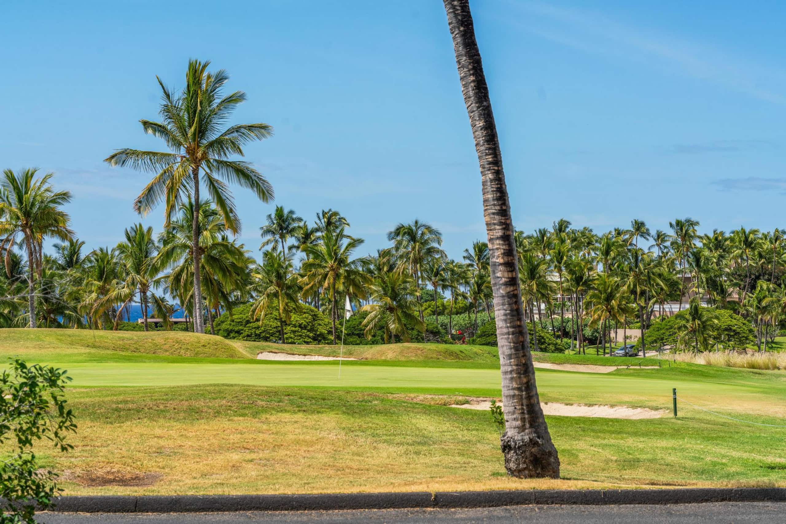 Includes Beach gear 2 Shores at Waikoloa Villa - Photo 57