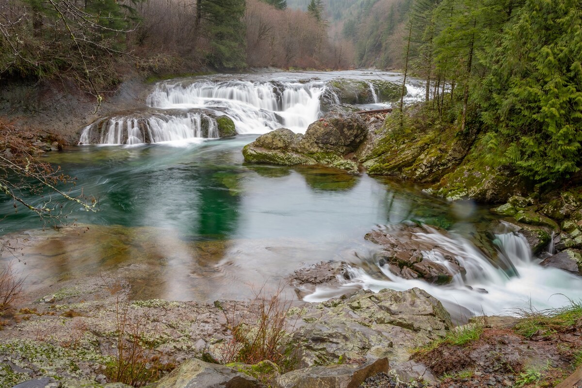 A serene scene features cascading waterfalls flowing into a calm green pool, surrounded by moss-covered rocks and lush forest. The gentle movement of water creates a tranquil atmosphere, while the trees in the background contribute to the natural setting.