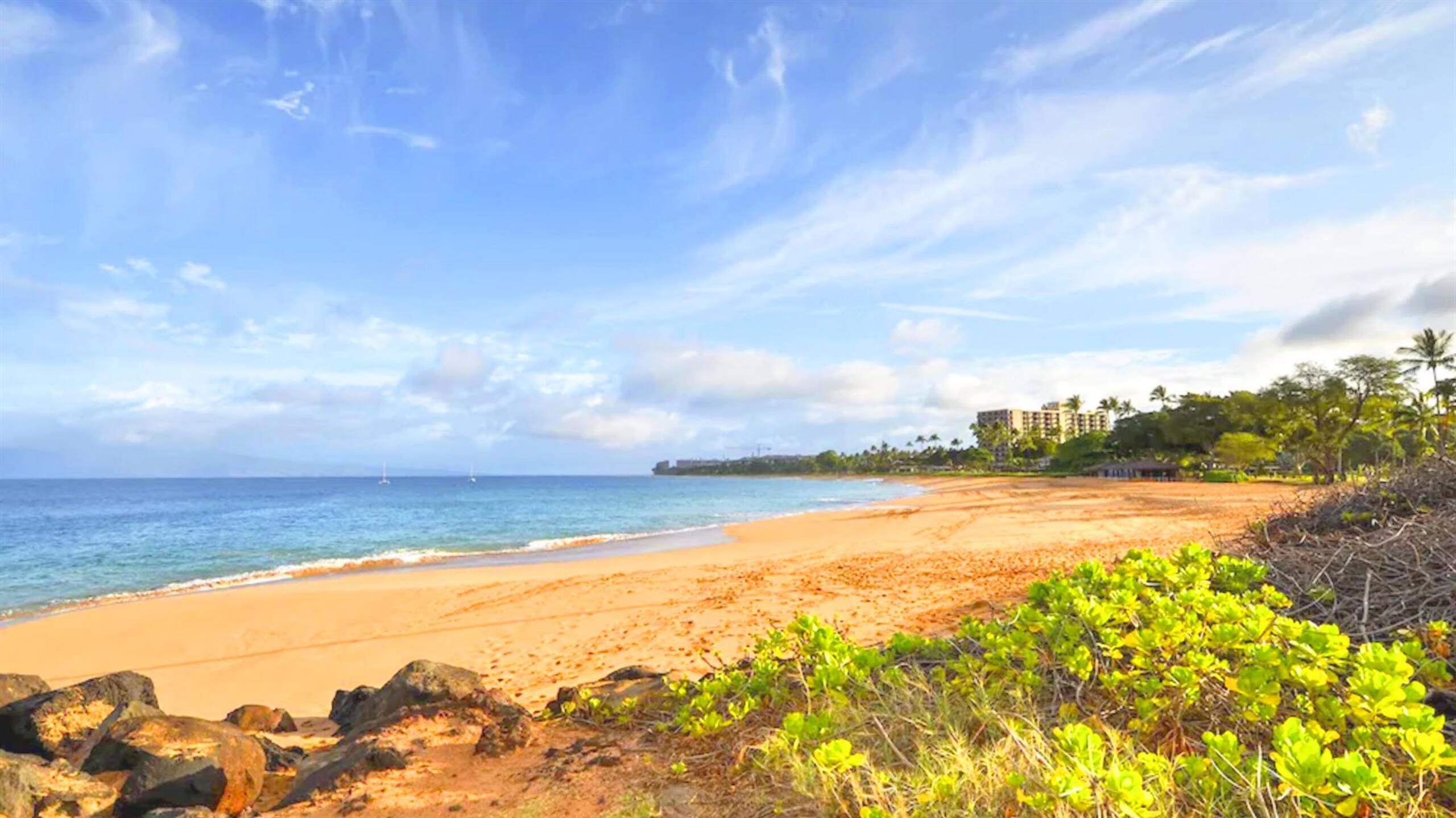 Condo in Lahaina · ★4.71 · 2 bedrooms · 4 beds · 2 baths - Image 44
