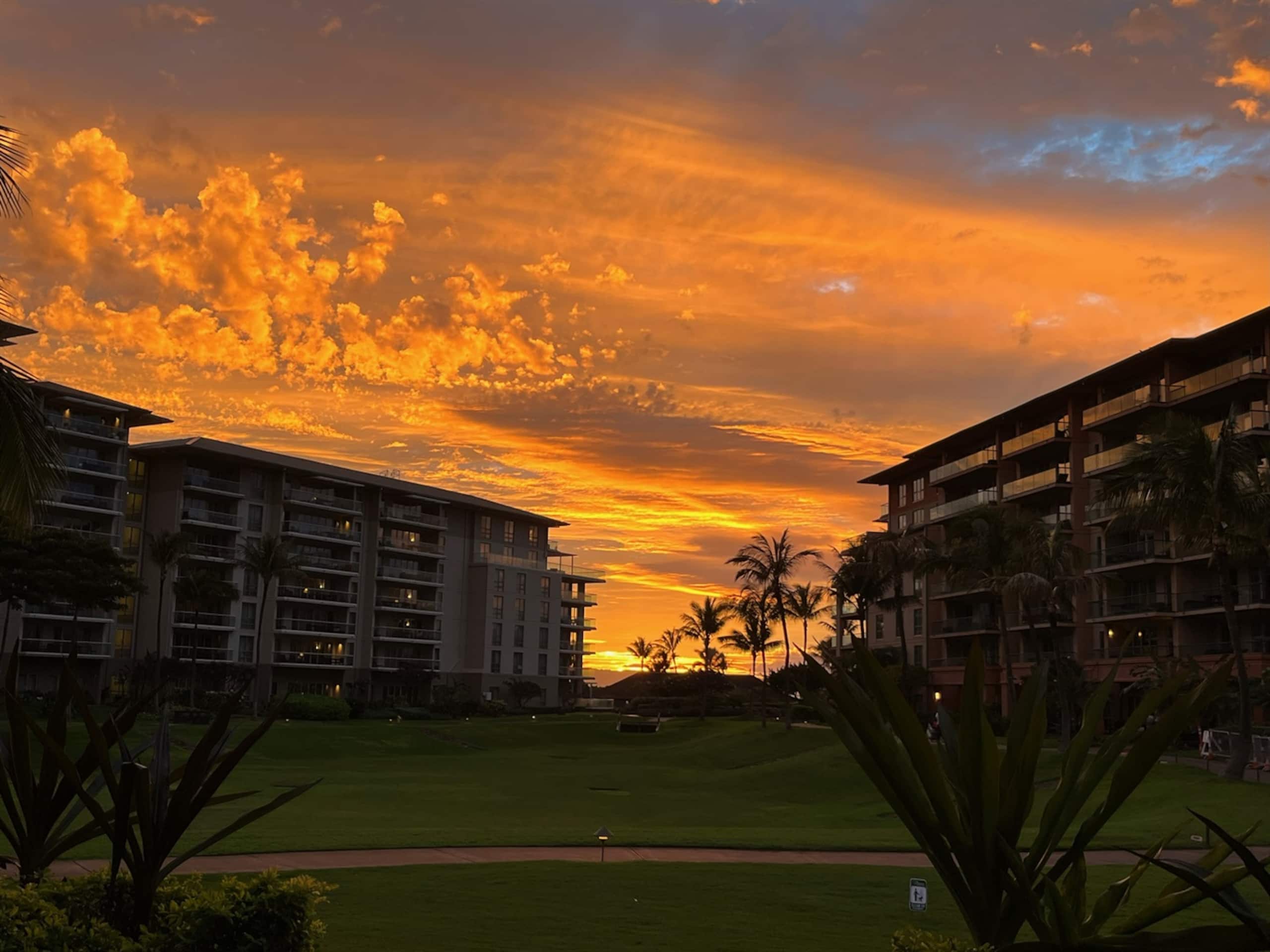 Villa in Lahaina · ★4.98 · 3 bedrooms · 4 beds · 3 baths - Image 38