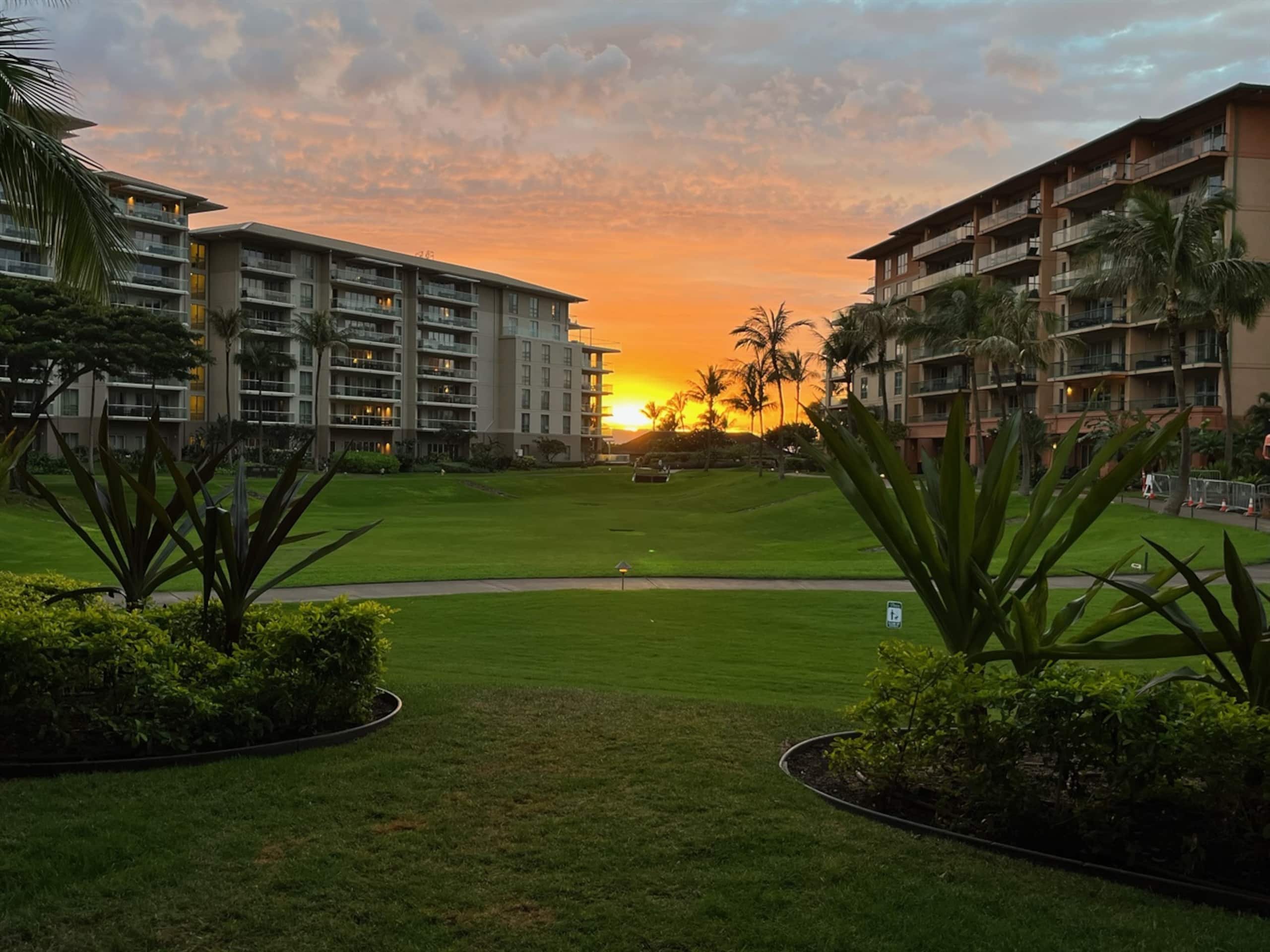 Villa in Lahaina · ★4.98 · 3 bedrooms · 4 beds · 3 baths - Image 39