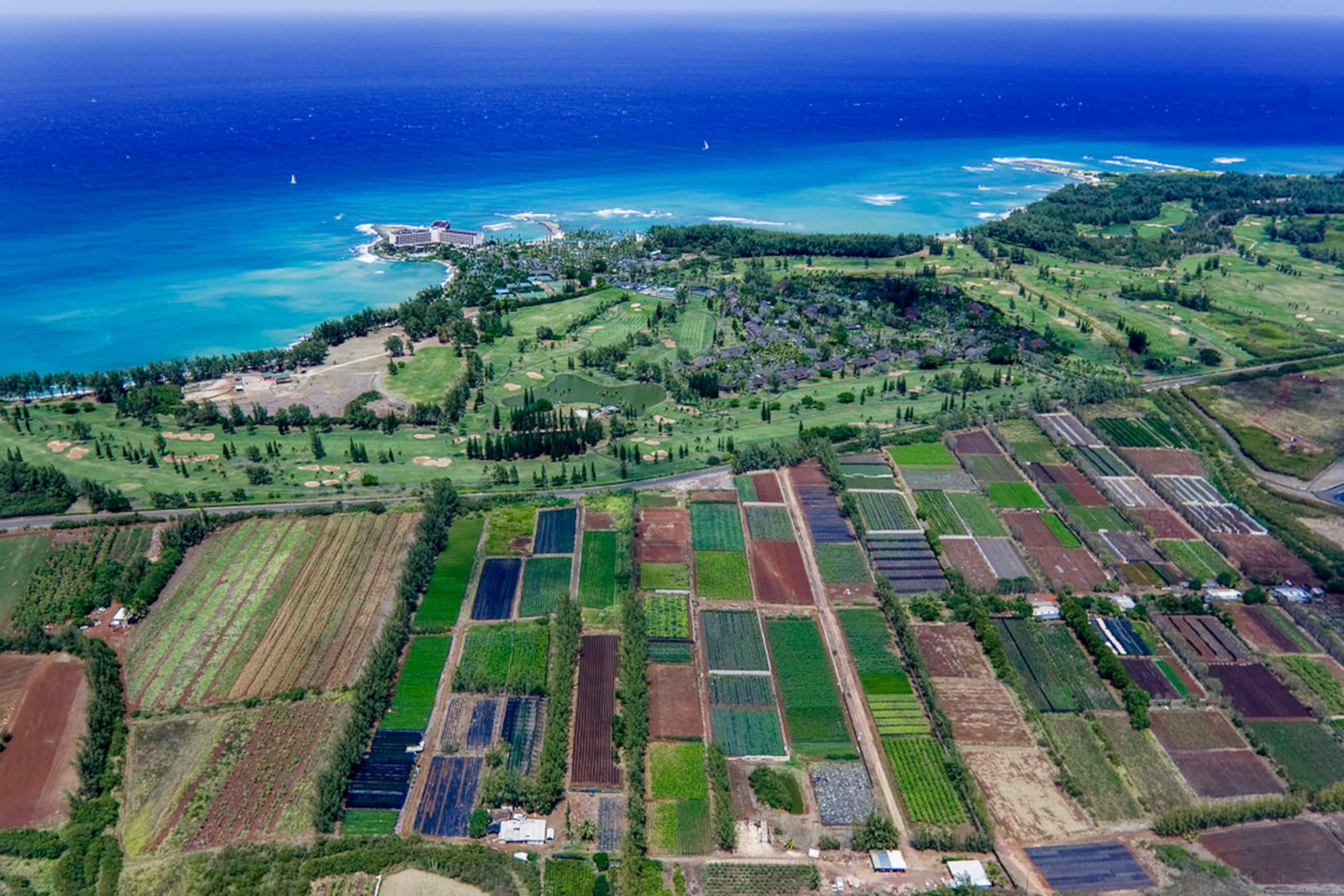 Condo in Kahuku · ★4.72 · 2 bedrooms · 5 beds · 2 baths - Image 18