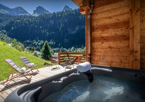 Ski break for 14 - spa great views