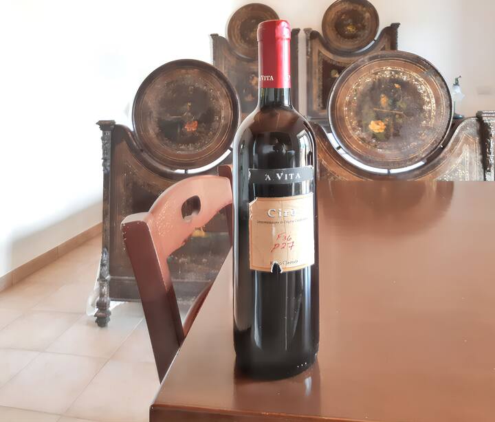 Studio In Badolato, With Wonderful Sea View, Pool Access, Furnished Te - Santa Caterina dello Ionio