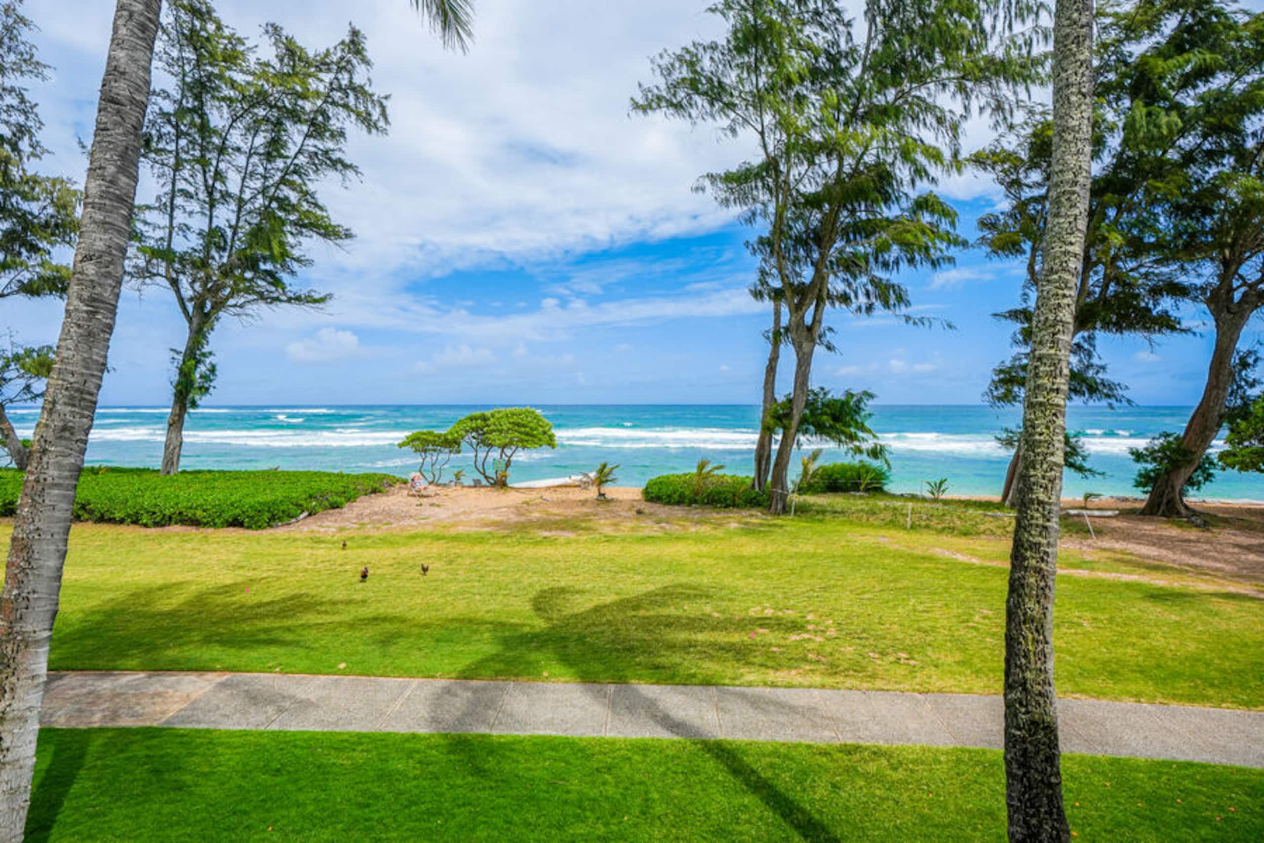 Condo in Kapaa · ★4.62 · Studio · 1 bed · 1 bath - Image 38