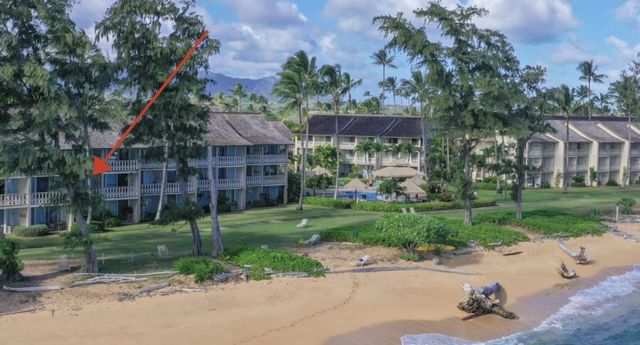 Condo in Kapaa · ★4.62 · Studio · 1 bed · 1 bath - Image 29