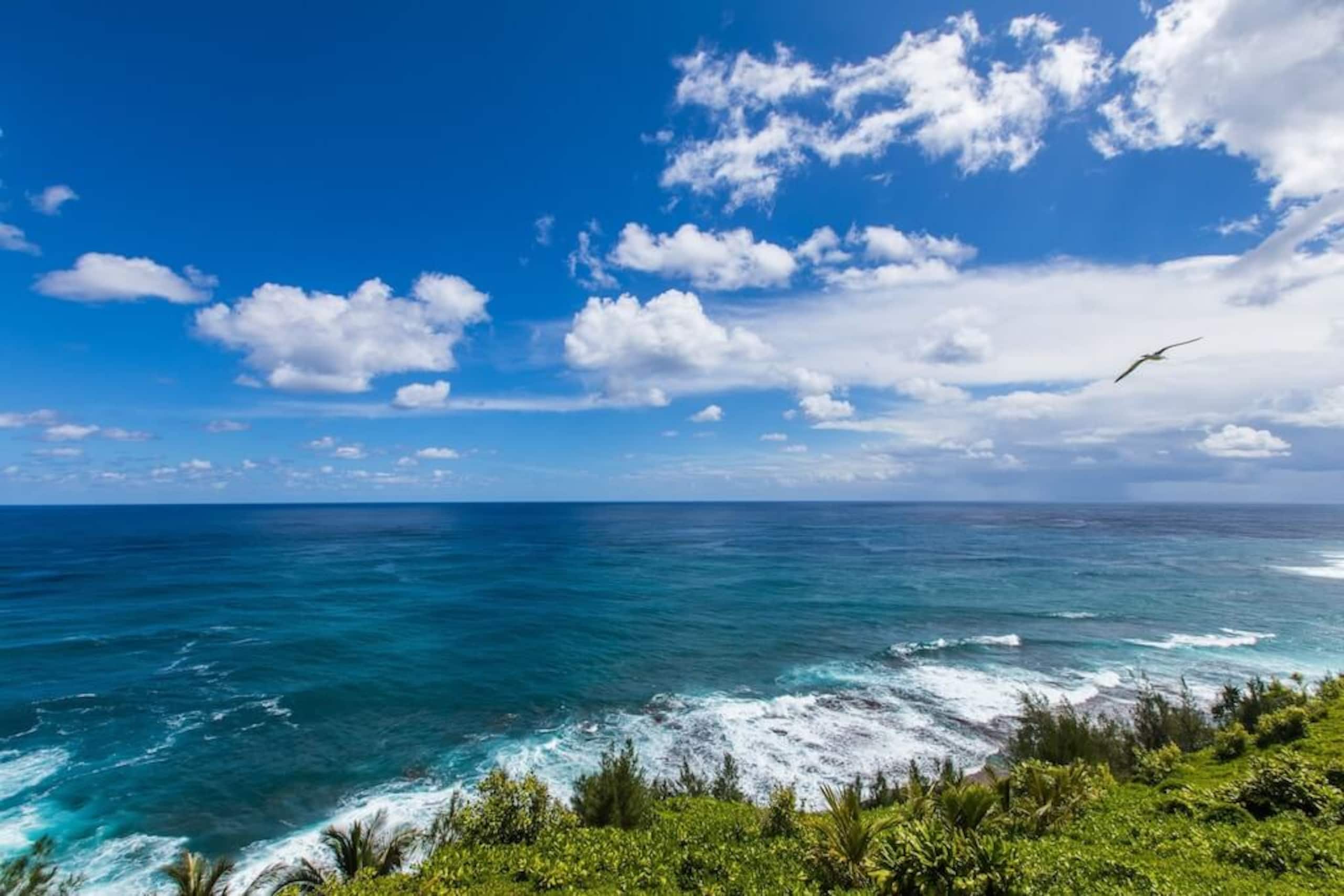 Condo in Princeville · ★4.89 · 2 bedrooms · 2 beds · 2 private baths - Image 20