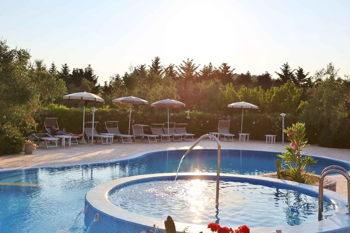 A shared swimming pool features a jacuzzi and is surrounded by sun loungers with umbrellas. Lush greenery provides a natural backdrop, enhancing the outdoor space, which is perfect for relaxation and enjoyment on sunny days.