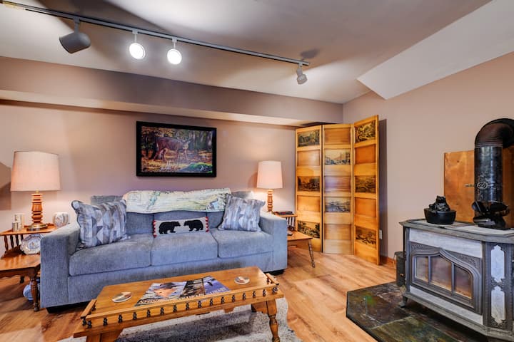 Basement lounge w/ sleeper sofa