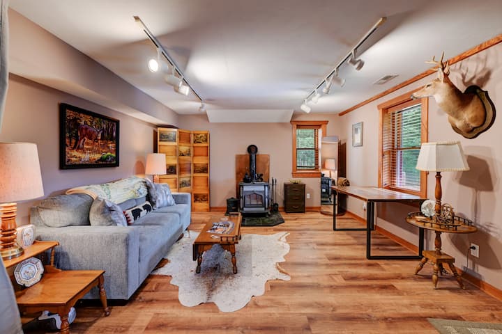 Basement lounge w/ sleeper sofa