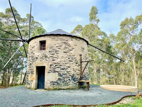 The Cliffs - The Painted Mill