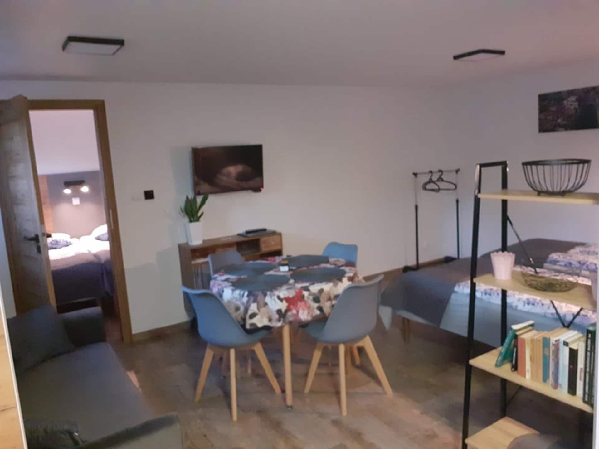 One bedroom apartment (4+1)