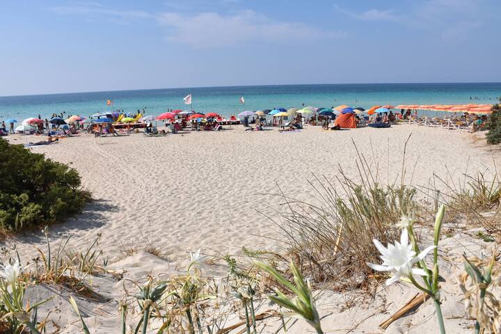 Villa Ilaria | spacious, garden, wifi, bbq, a/c gallery image 3