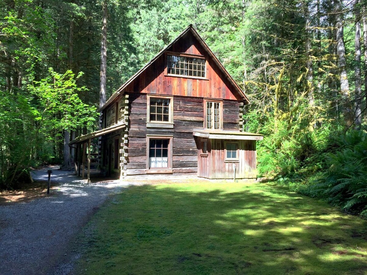 A rustic two-story wooden cabin is nestled among tall trees in a lush forested area. The exterior features natural materials with a combination of dark wood and large windows, allowing for abundant natural light. A grassy lawn surrounds the cabin, providing a serene outdoor space.