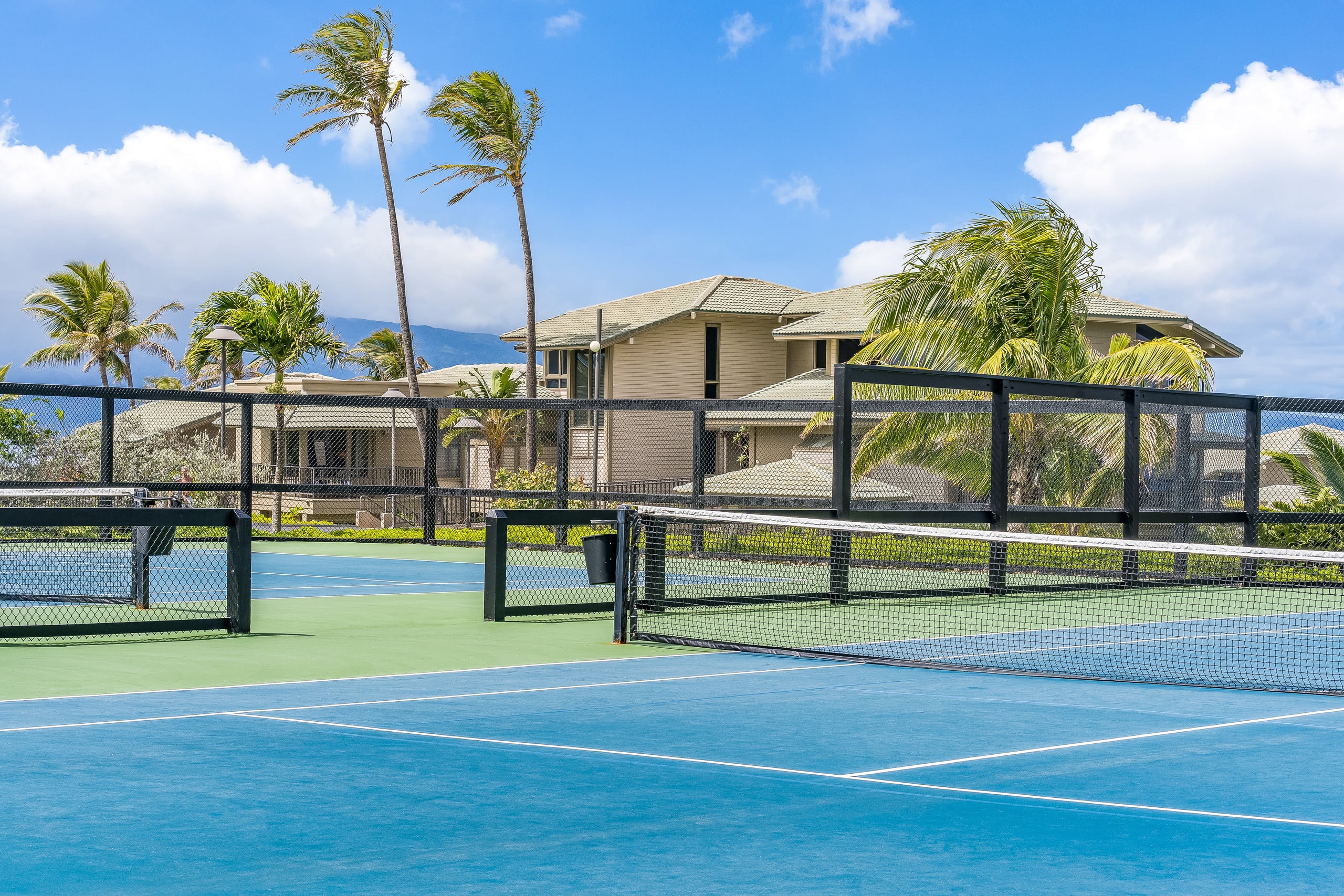 Condo in Lahaina · ★4.97 · 1 bedroom · 2 beds · 1 bath - Image 44