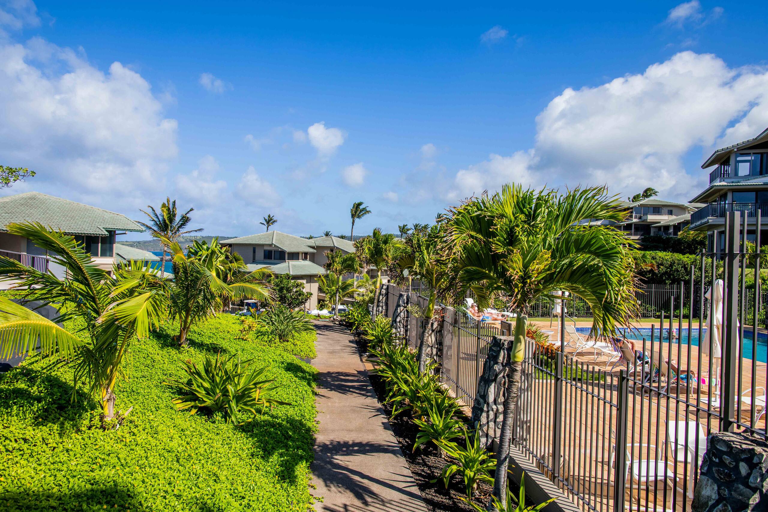 Condo in Lahaina · ★4.97 · 1 bedroom · 2 beds · 1 bath - Image 43