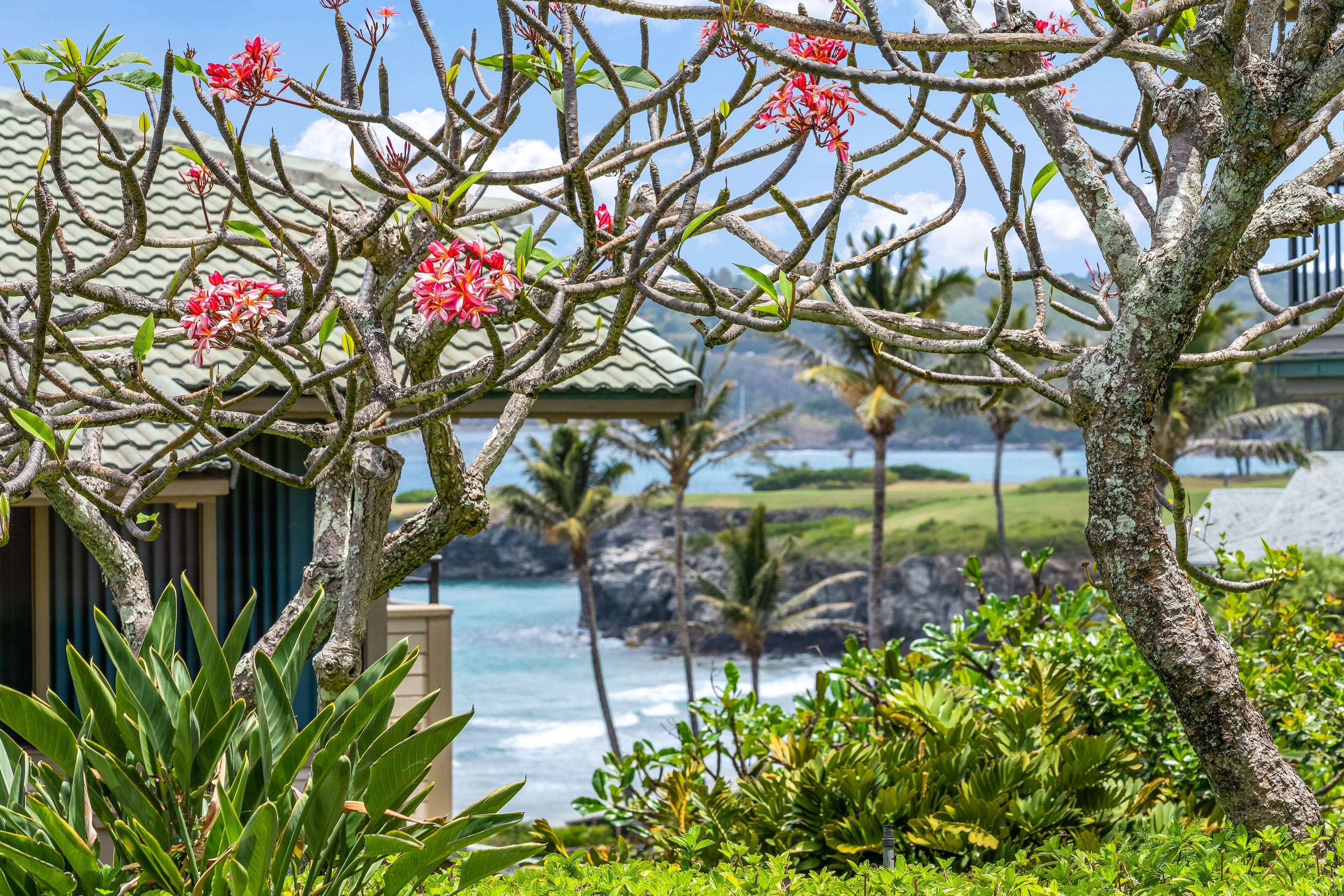 Condo in Lahaina · ★4.97 · 1 bedroom · 2 beds · 1 bath - Image 40