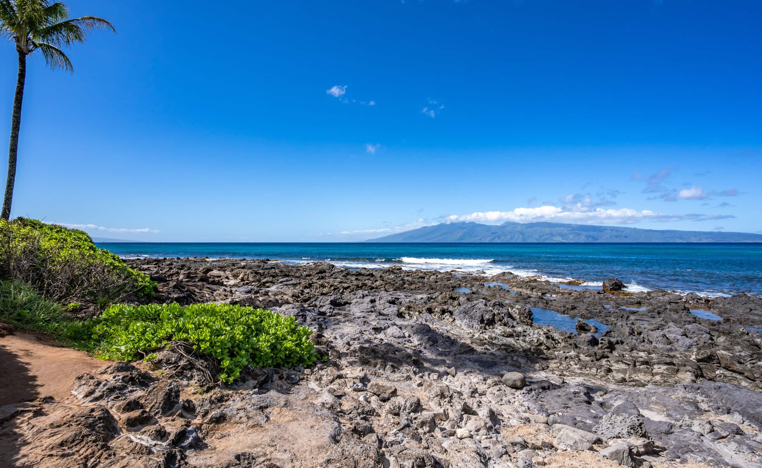 Condo in Lahaina · ★4.9 · 1 bedroom · 3 beds · 1 shared bath - Image 31