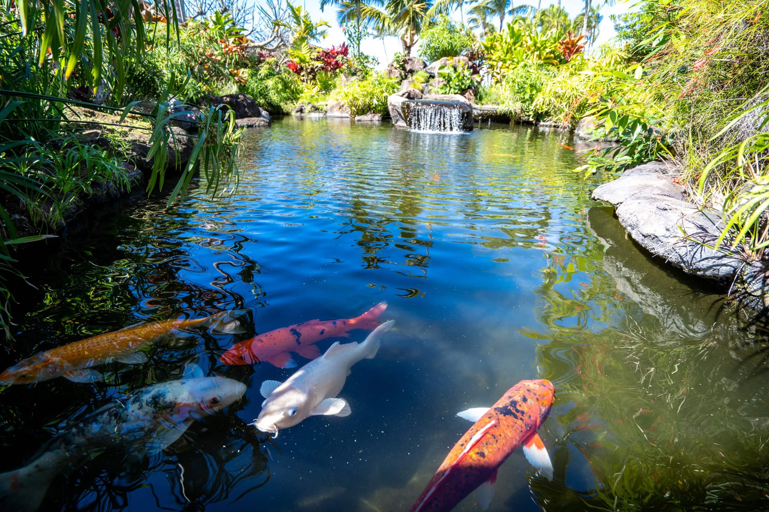 Condo in Lahaina · ★4.9 · 1 bedroom · 3 beds · 1 shared bath - Image 25