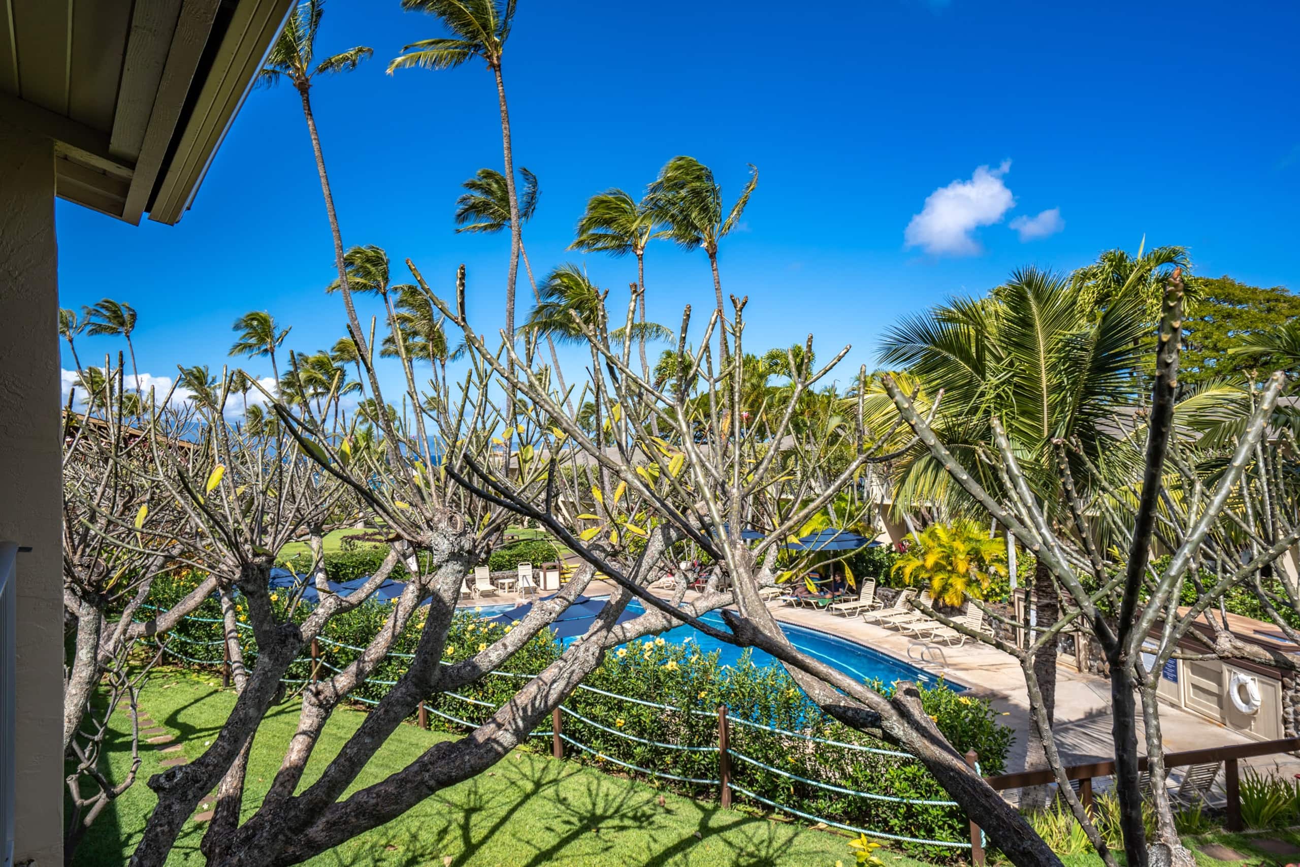 Condo in Lahaina · ★4.9 · 1 bedroom · 3 beds · 1 shared bath - Image 24