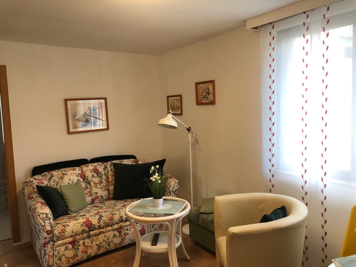 Erfolgreiche Airbnb-Immobilie: 2-room apartment on the 2nd floor no. 11 (apartment building Blume) in Bad Pyrmont