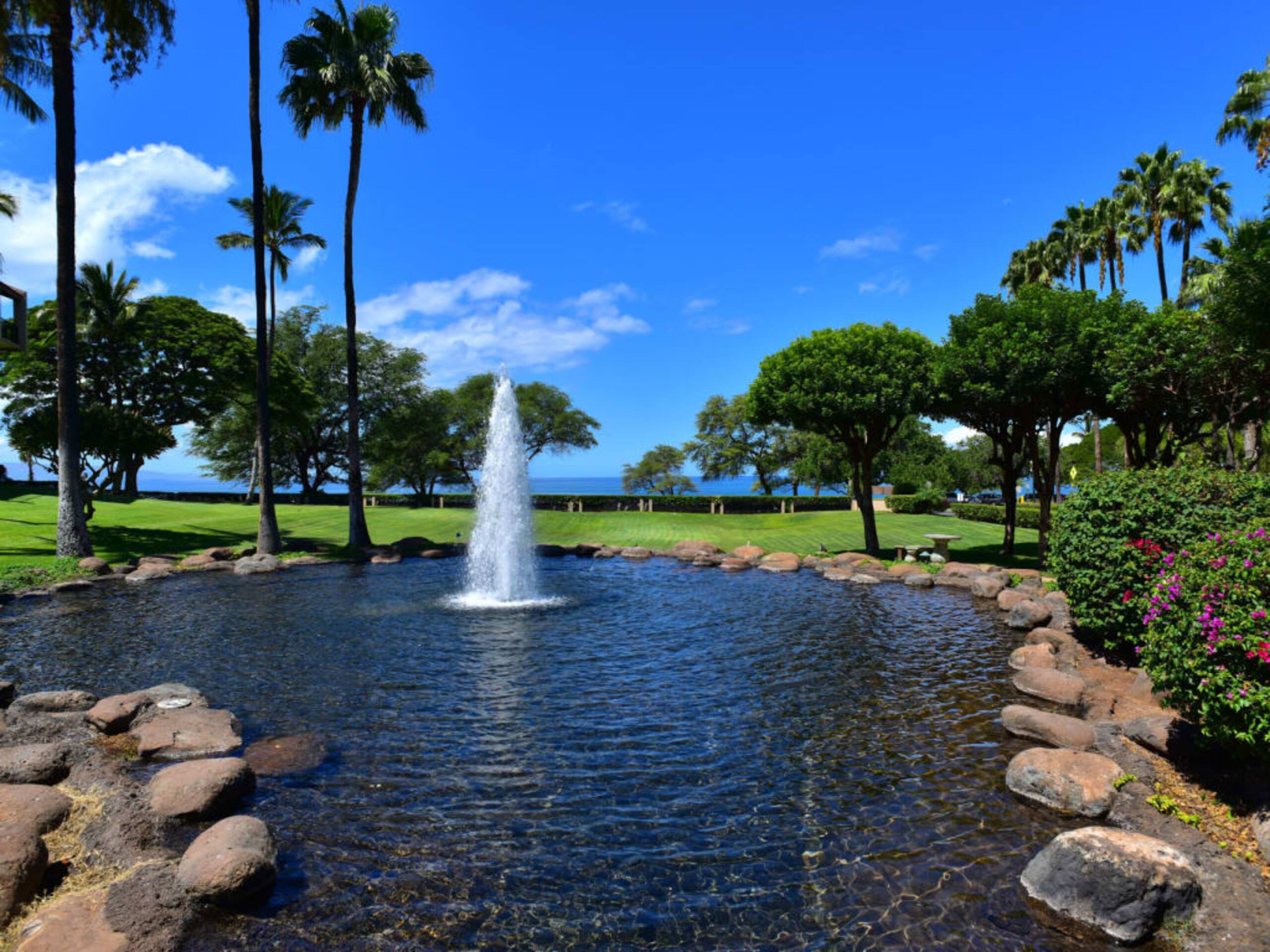 Condo in Kihei · ★4.71 · 1 bedroom · 2 beds · 2 baths - Image 53