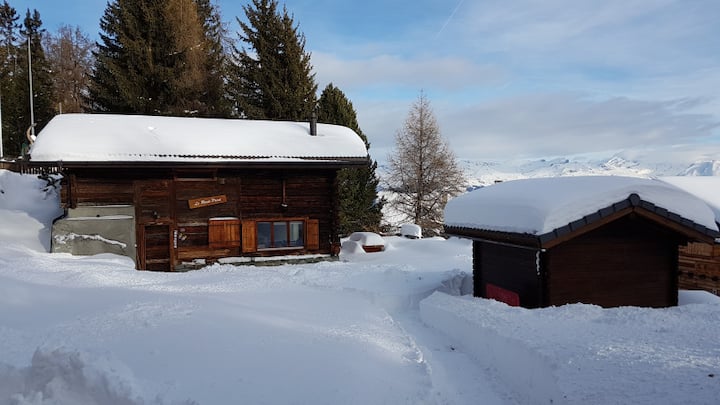 Chalet Rond Point - Thyon