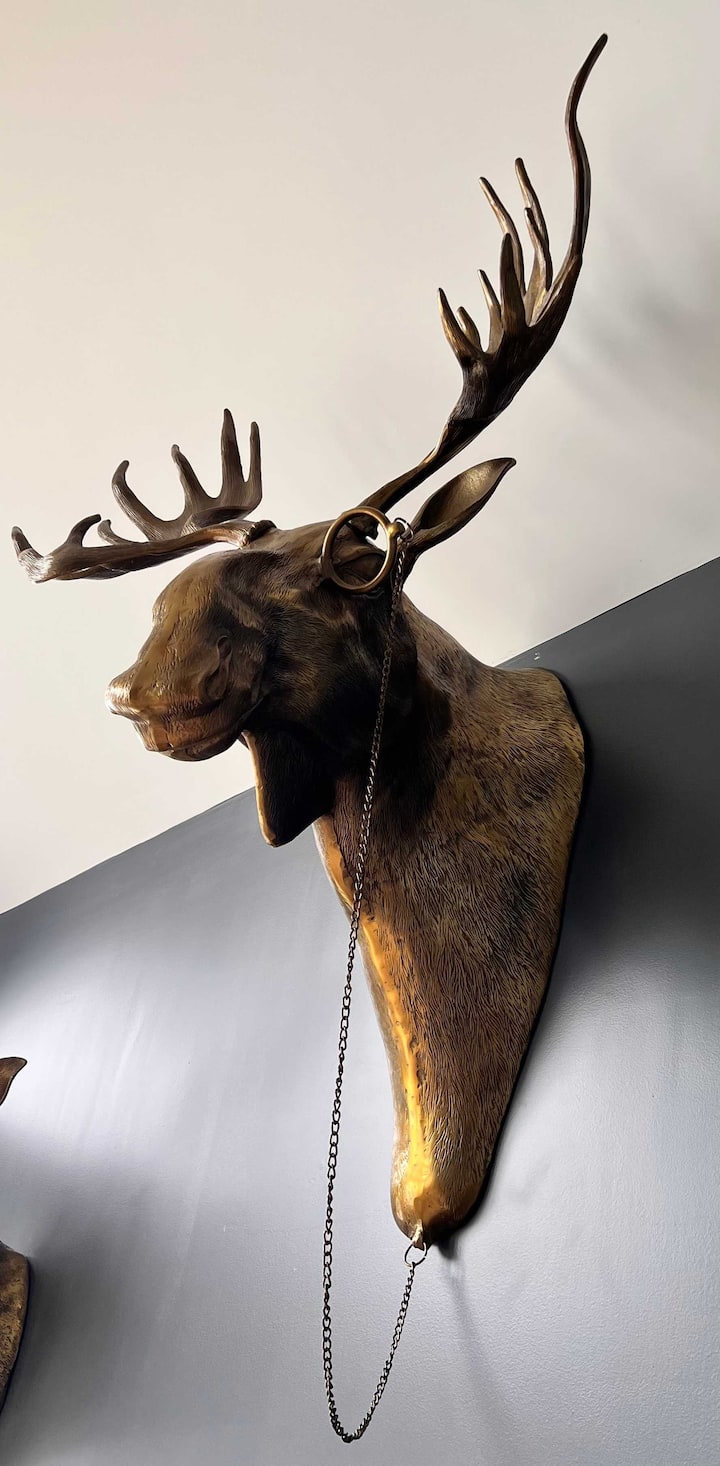 Bruce The Moose Hanging Proudly In Our Living Room