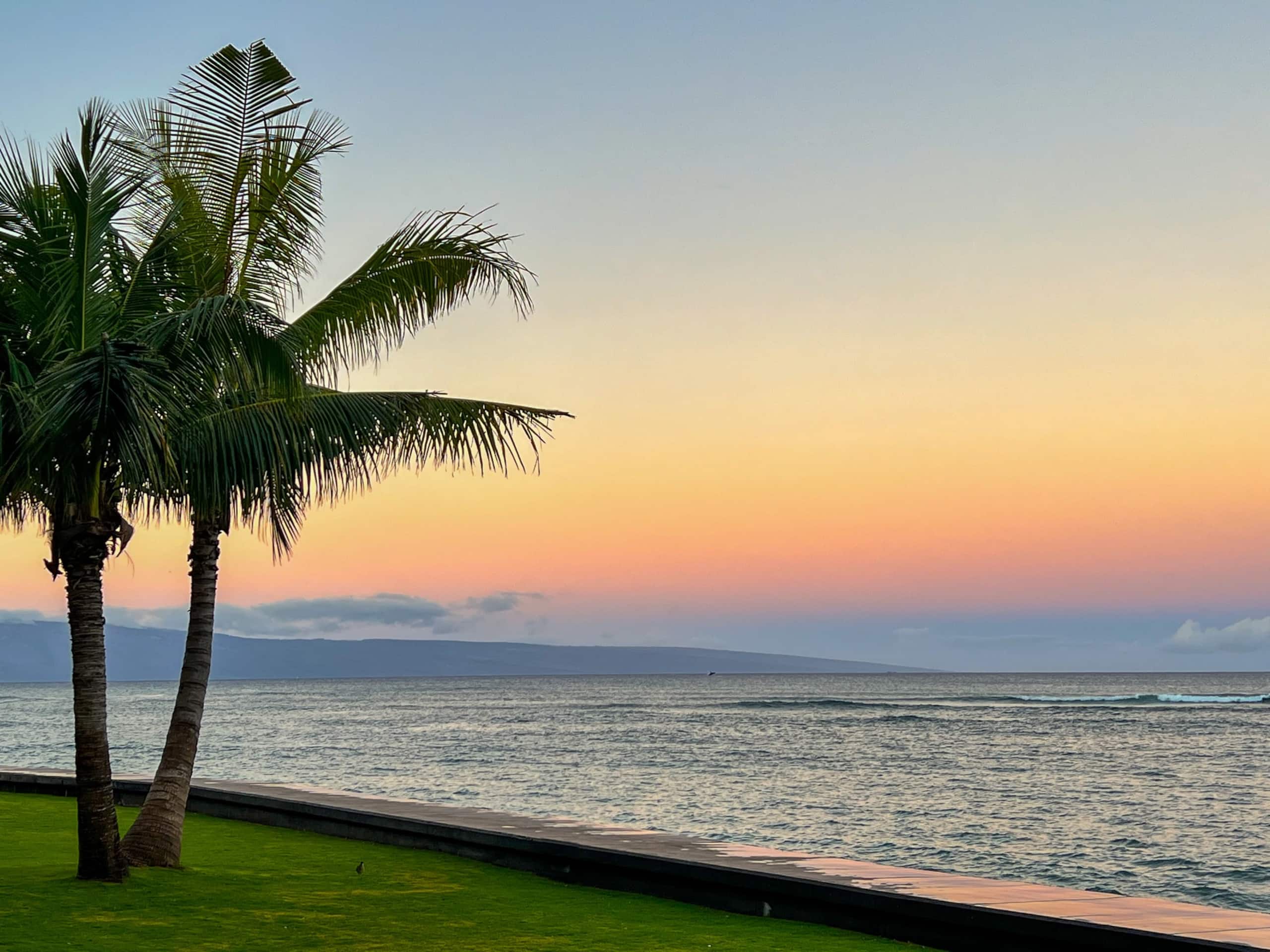 Condo in Lahaina · ★4.79 · 1 bedroom · 2 beds · 1 shared bath - Image 54