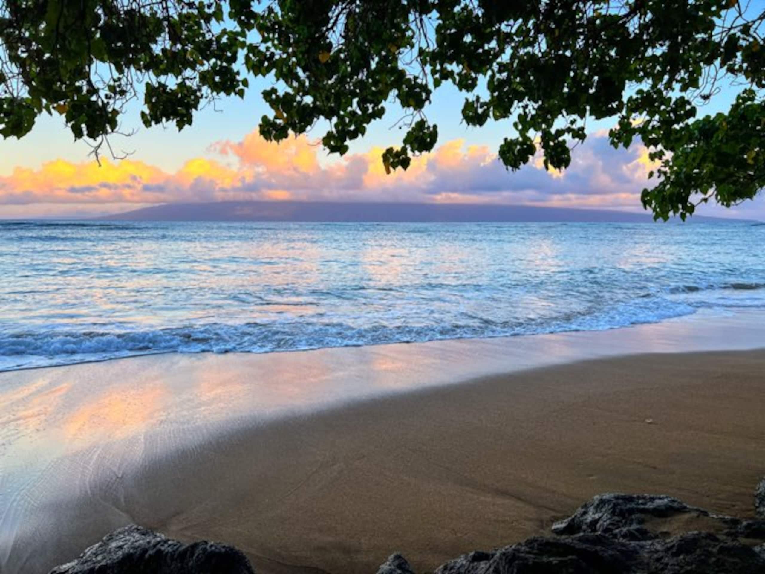 Condo in Lahaina · ★4.79 · 1 bedroom · 2 beds · 1 shared bath - Image 47