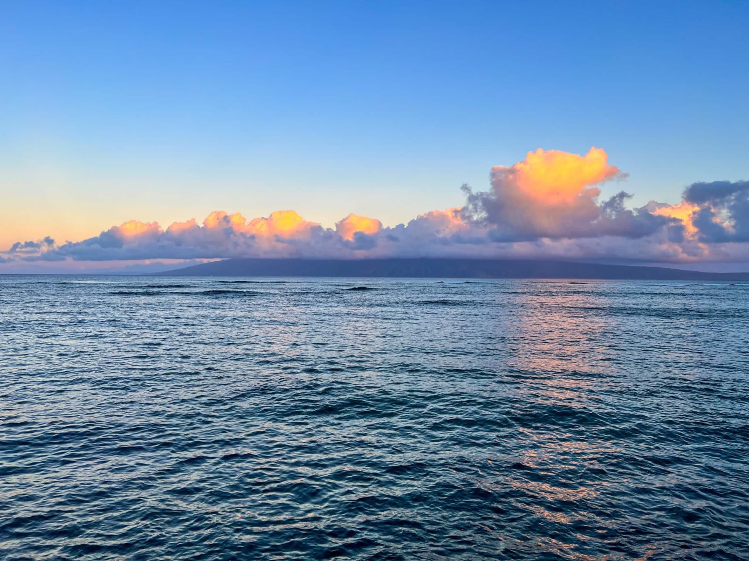Condo in Lahaina · ★4.79 · 1 bedroom · 2 beds · 1 shared bath - Image 49
