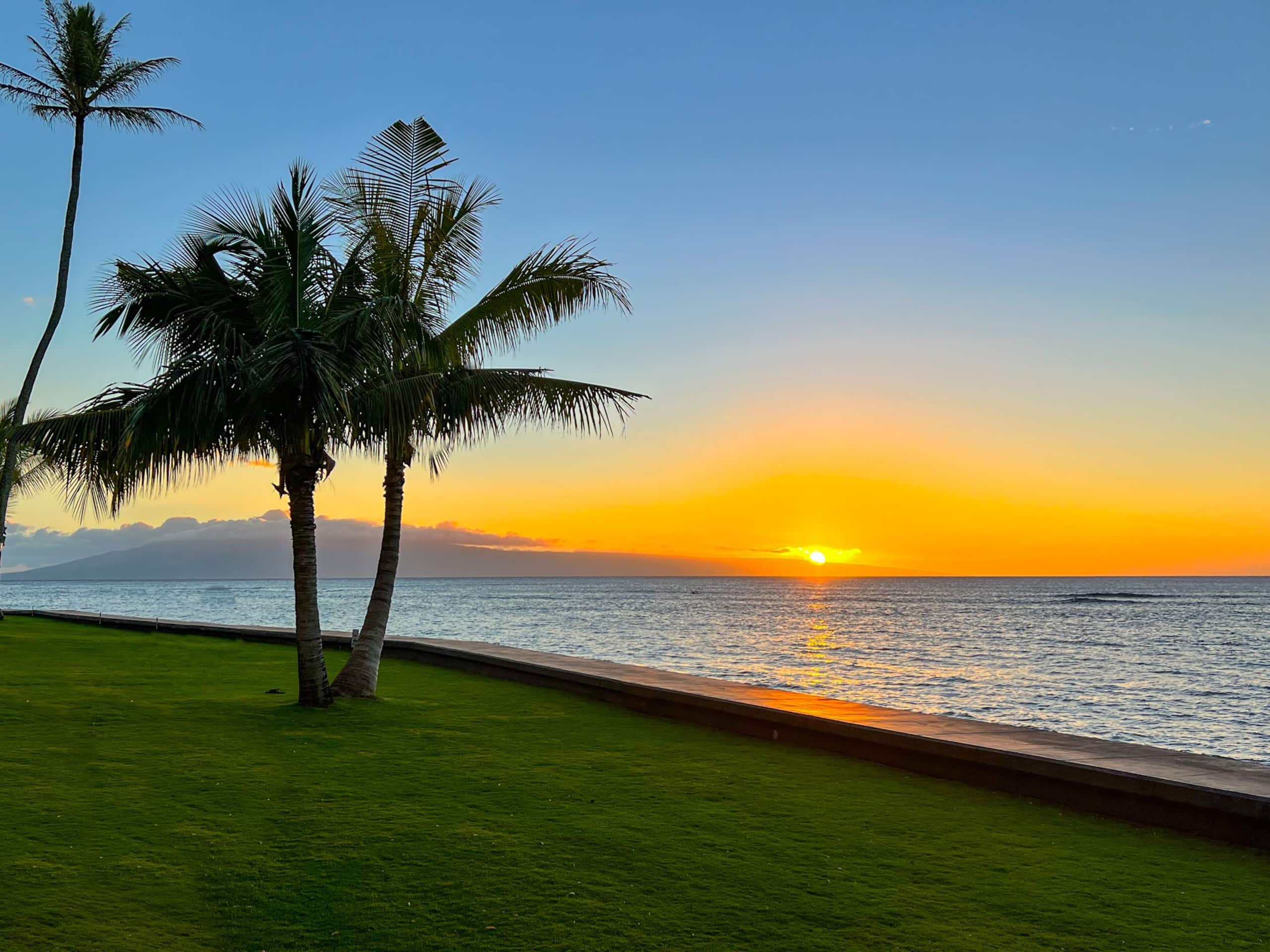Condo in Lahaina · ★4.79 · 1 bedroom · 2 beds · 1 shared bath - Image 52