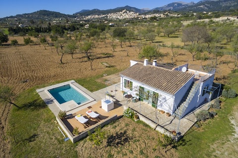 Top performing Airbnb: Ses Plans in Selva