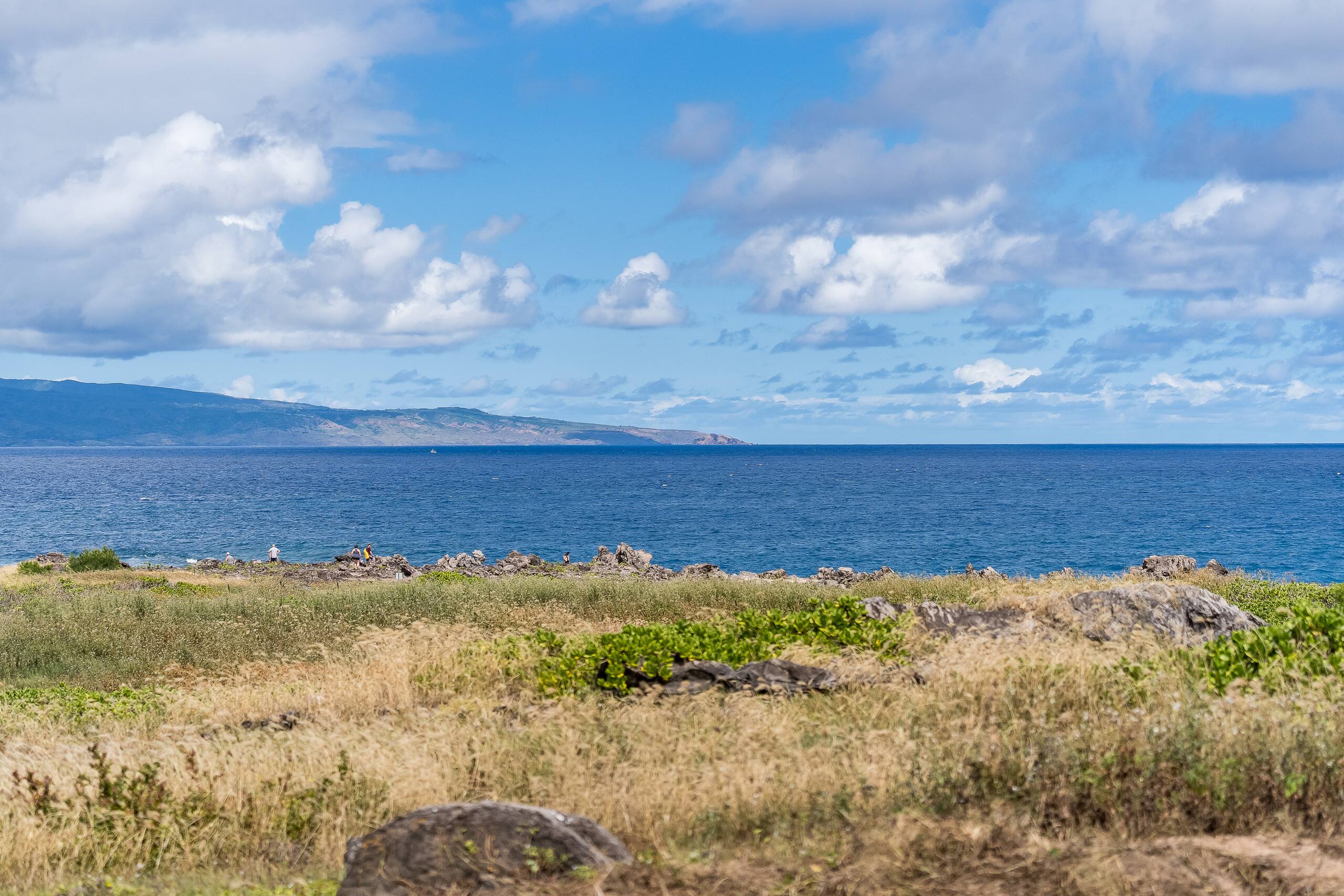 Condo in Lahaina · ★4.97 · 1 bedroom · 2 beds · 1 bath - Image 42