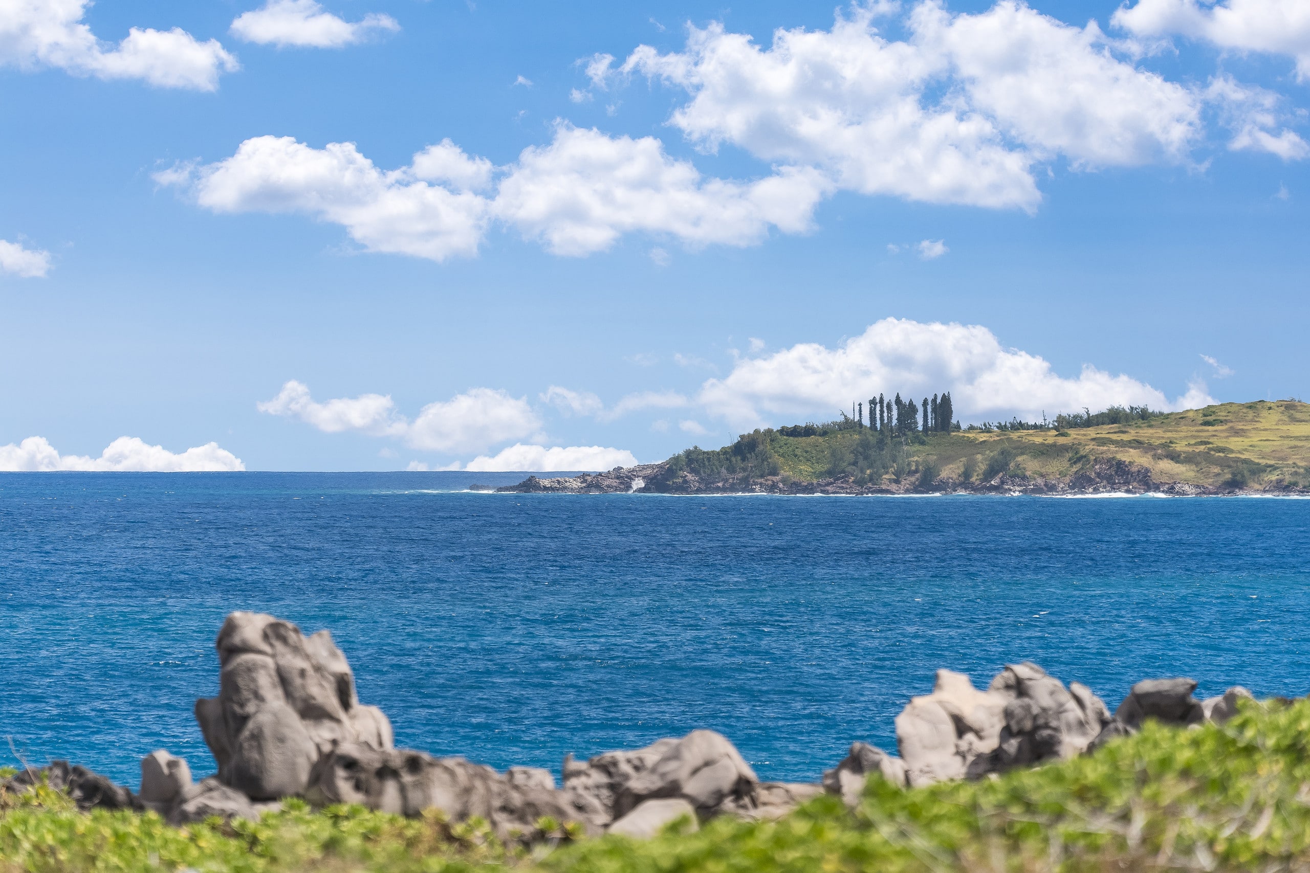 Condo in Lahaina · ★4.97 · 1 bedroom · 2 beds · 1 bath - Image 45