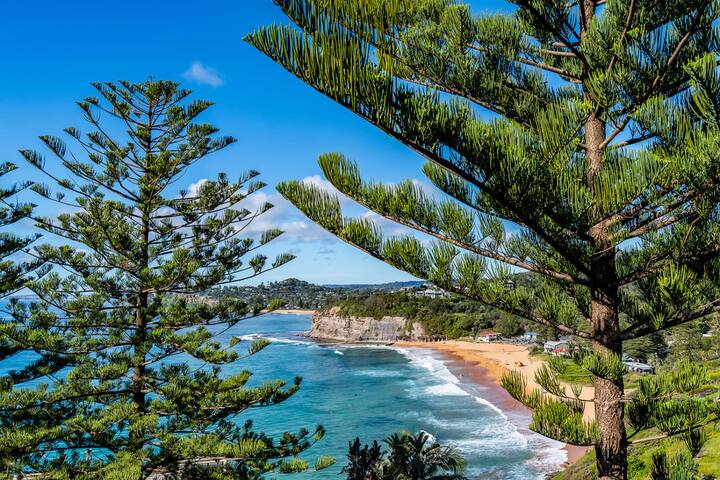 Coastal Luxury at Bilgola – 5BR Home with Studio gallery image 4