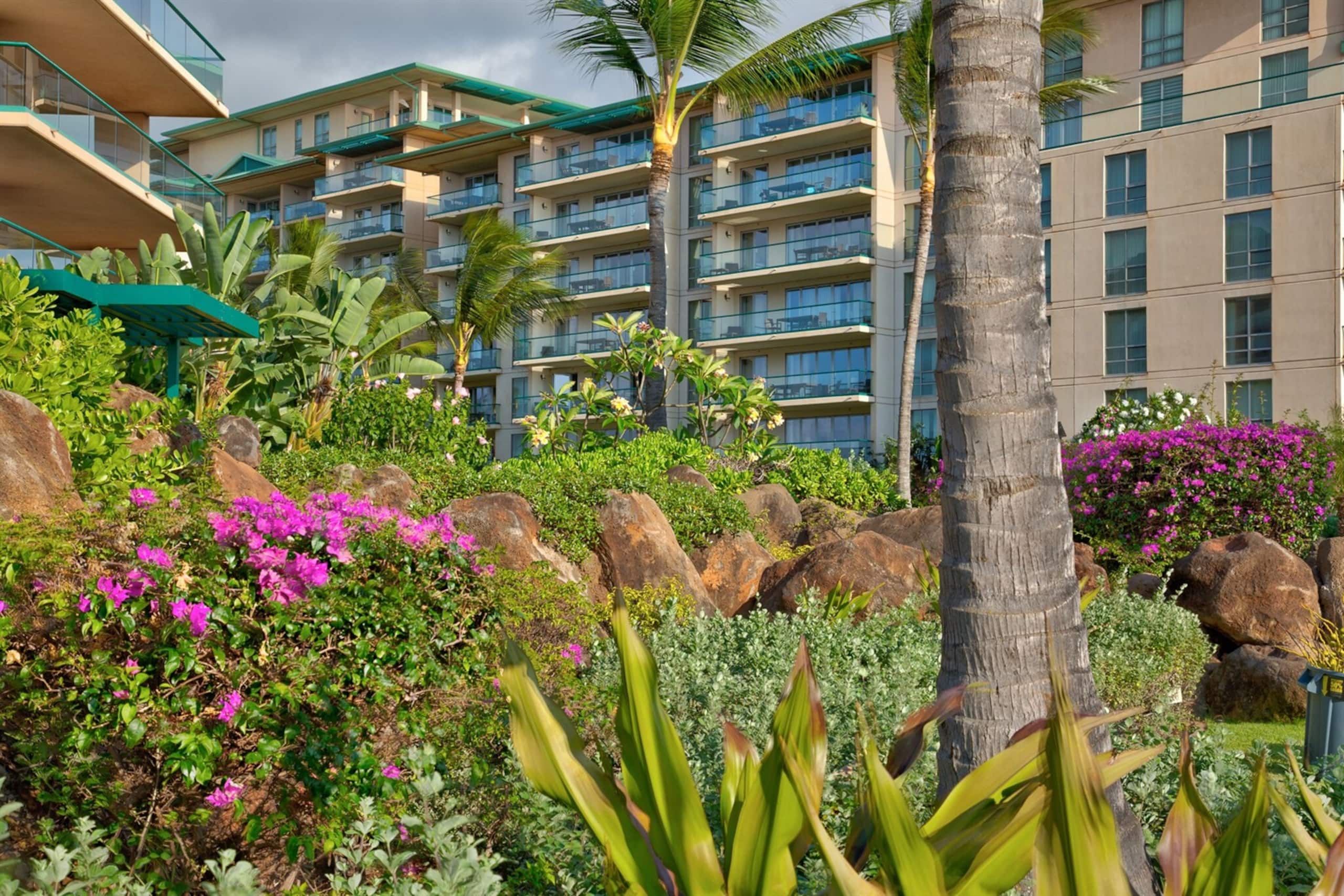 Condo in Lahaina · ★4.96 · 1 bedroom · 2 beds · 1 bath - Image 48