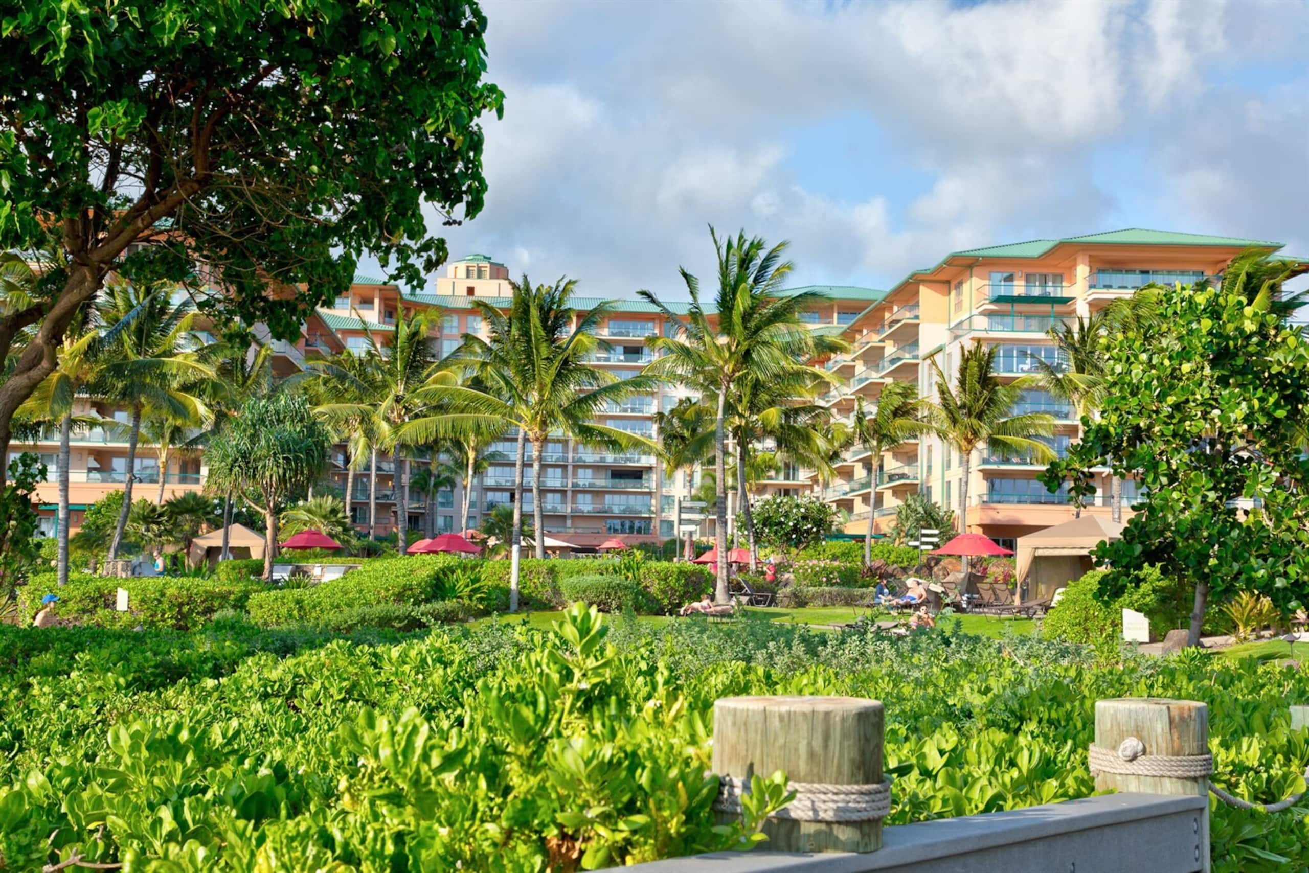 Condo in Lahaina · ★4.96 · 1 bedroom · 2 beds · 1 bath - Image 49