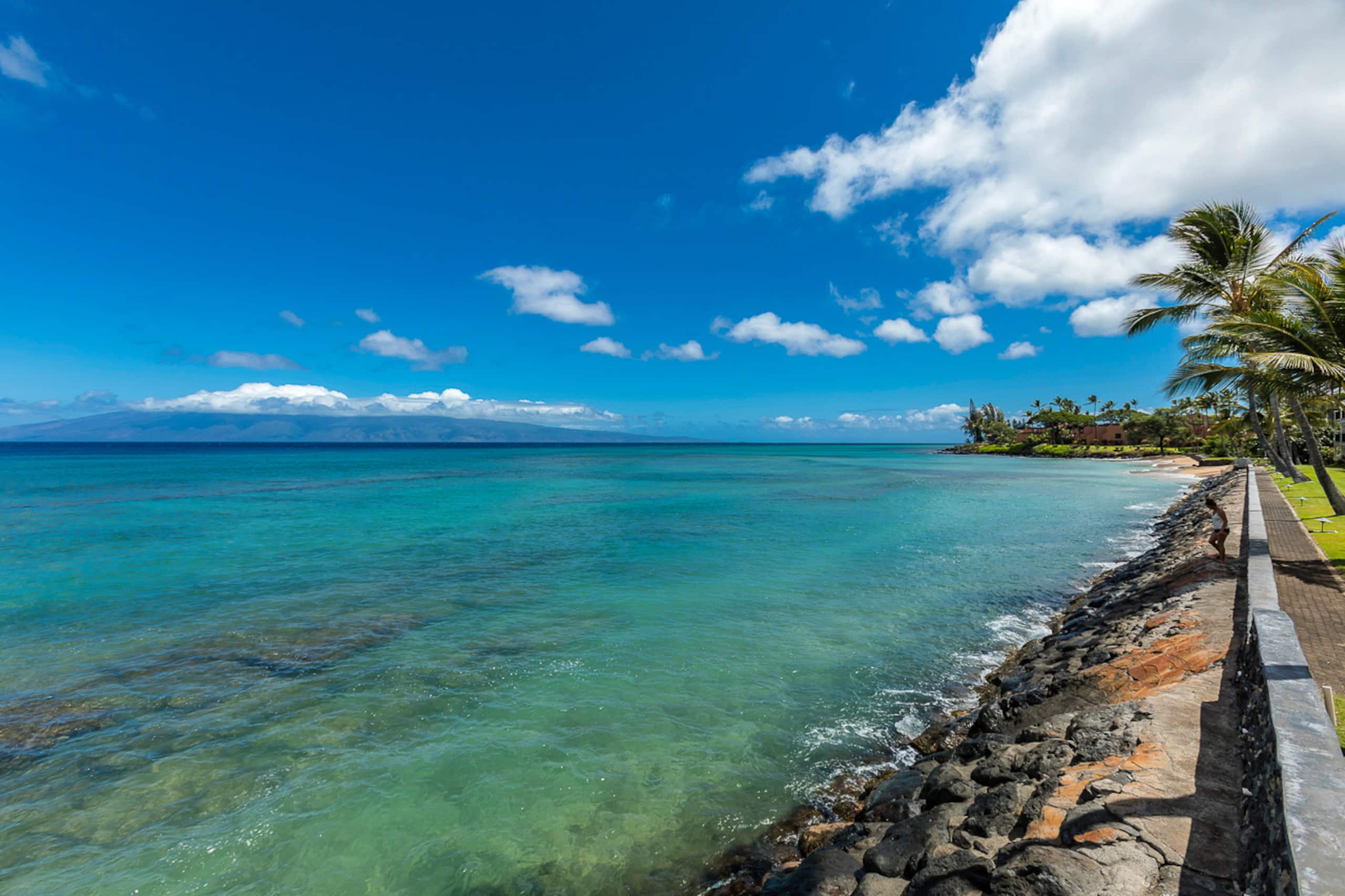 Condo in Lahaina · ★4.65 · 1 bedroom · 2 beds · 1 shared bath - Image 45