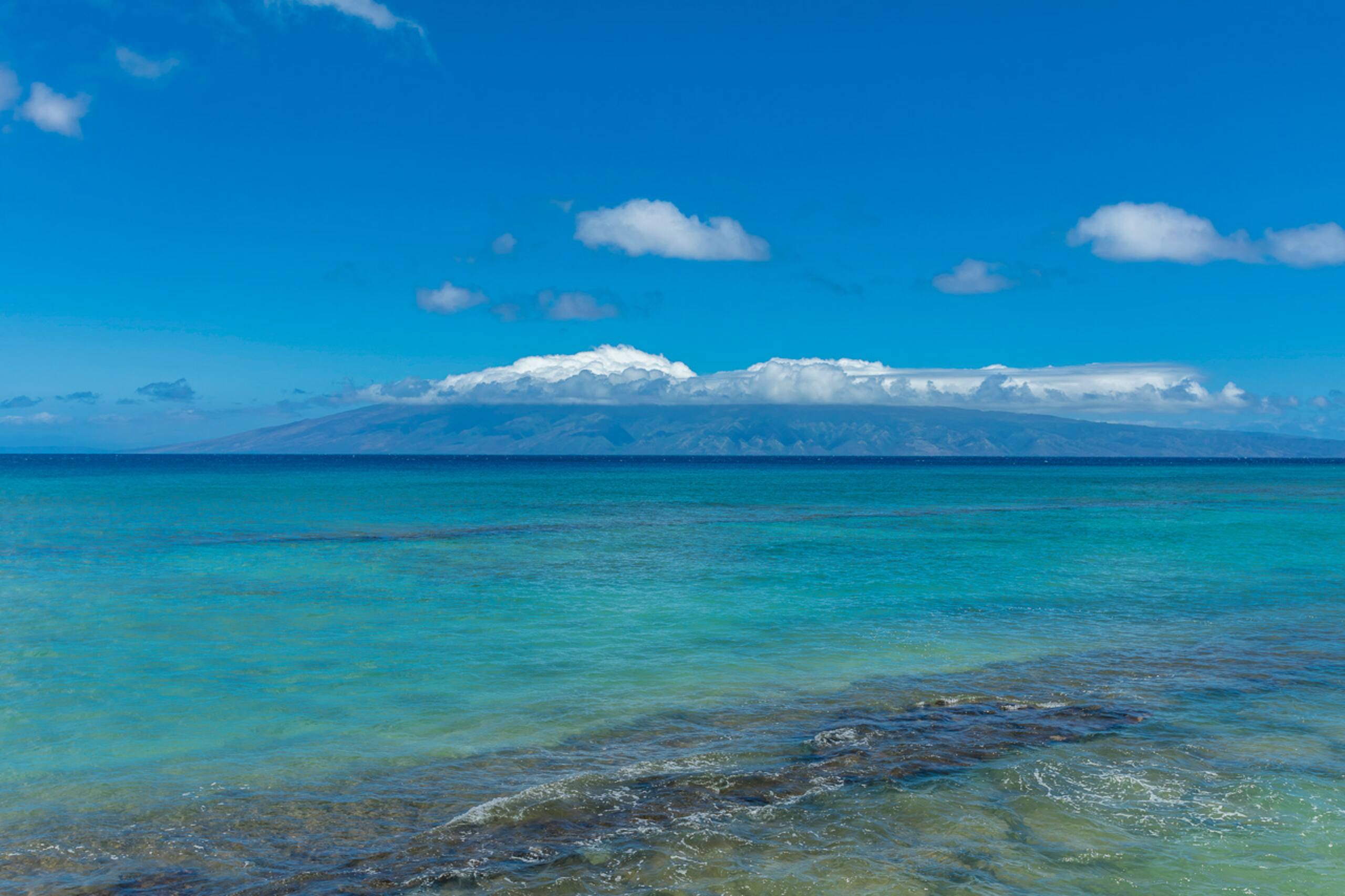 Condo in Lahaina · ★4.65 · 1 bedroom · 2 beds · 1 shared bath - Image 51