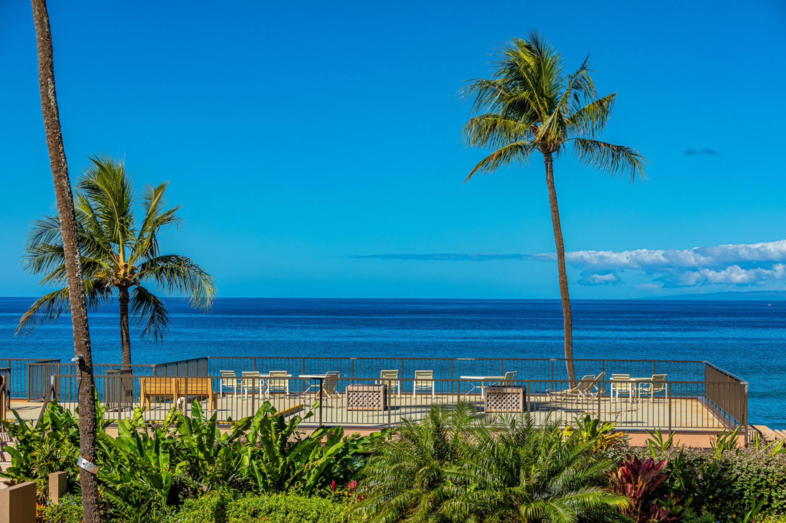 Condo in Lahaina · ★4.65 · 1 bedroom · 2 beds · 1 shared bath - Image 40