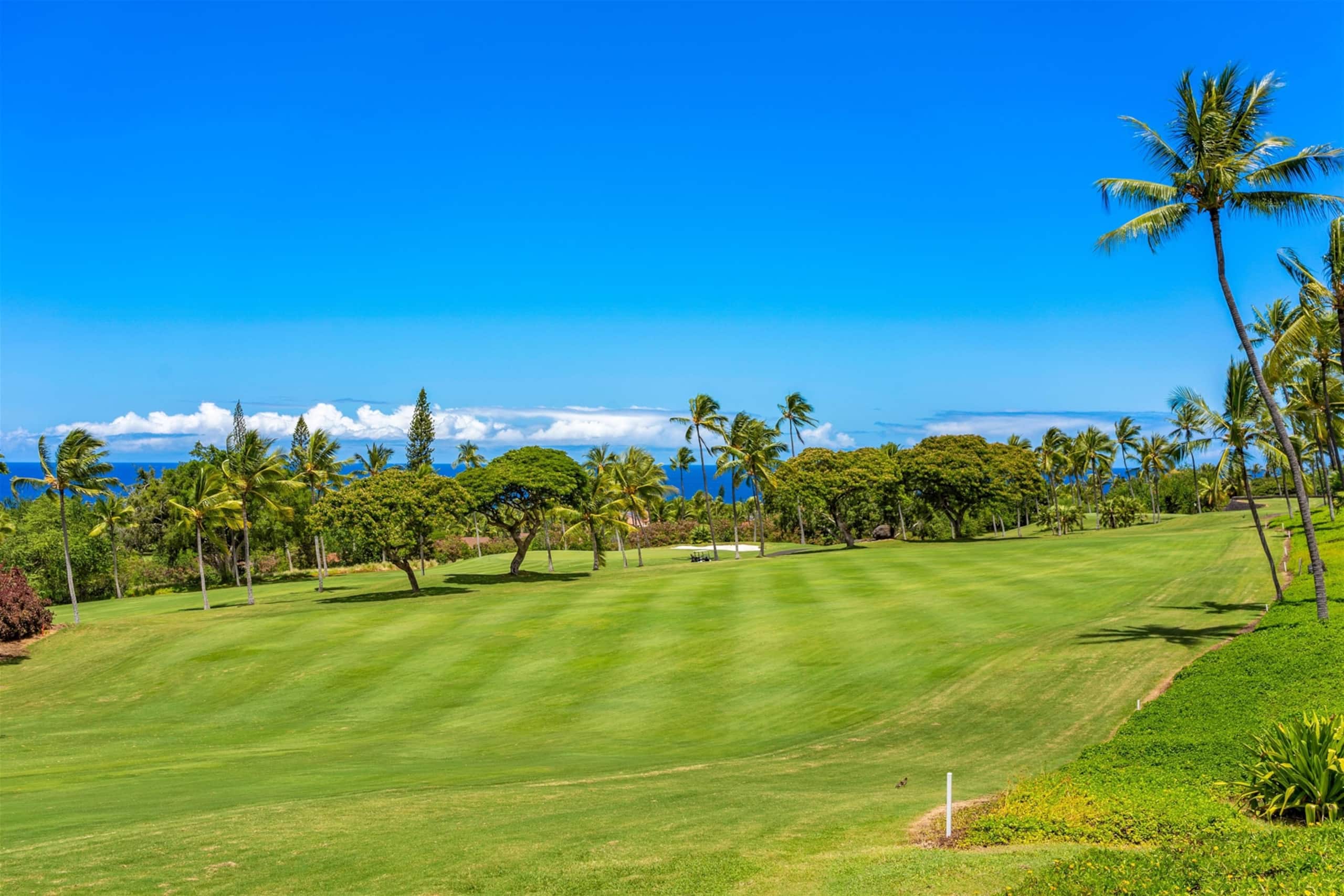 Condo in Kailua-Kona · ★4.59 · 2 bedrooms · 3 beds · 2 shared baths - Image 37