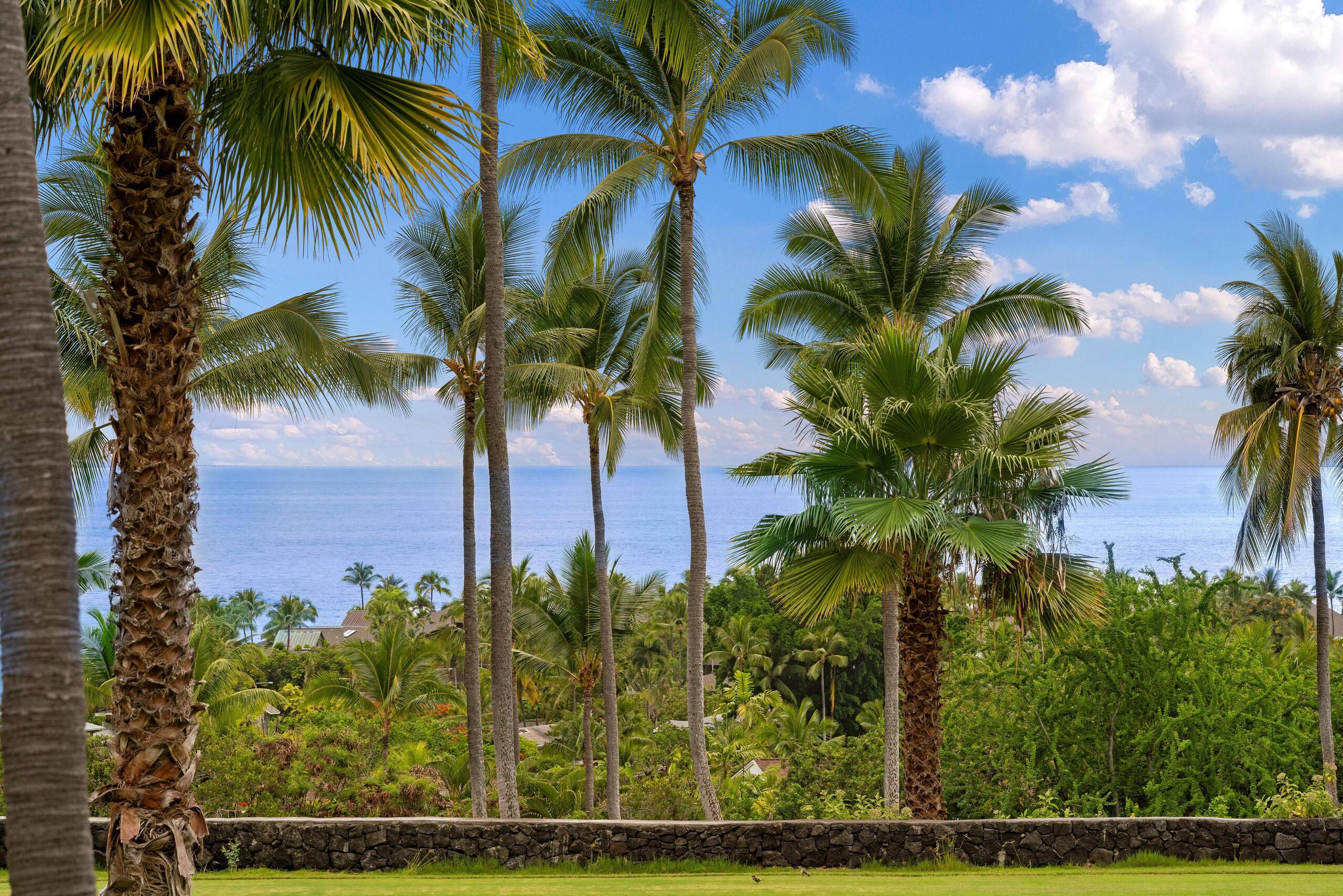 Condo in Kailua-Kona · ★4.59 · 2 bedrooms · 3 beds · 2 shared baths - Image 38