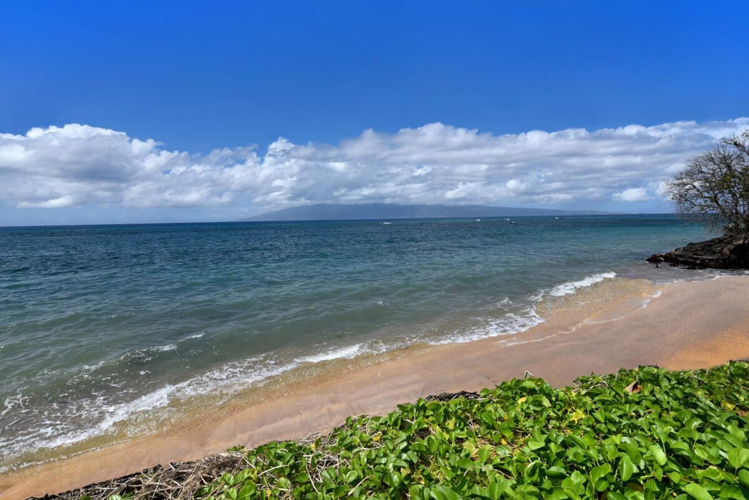 Condo in Lahaina · ★4.27 · 1 bedroom · 2 beds · 2 baths - Image 29